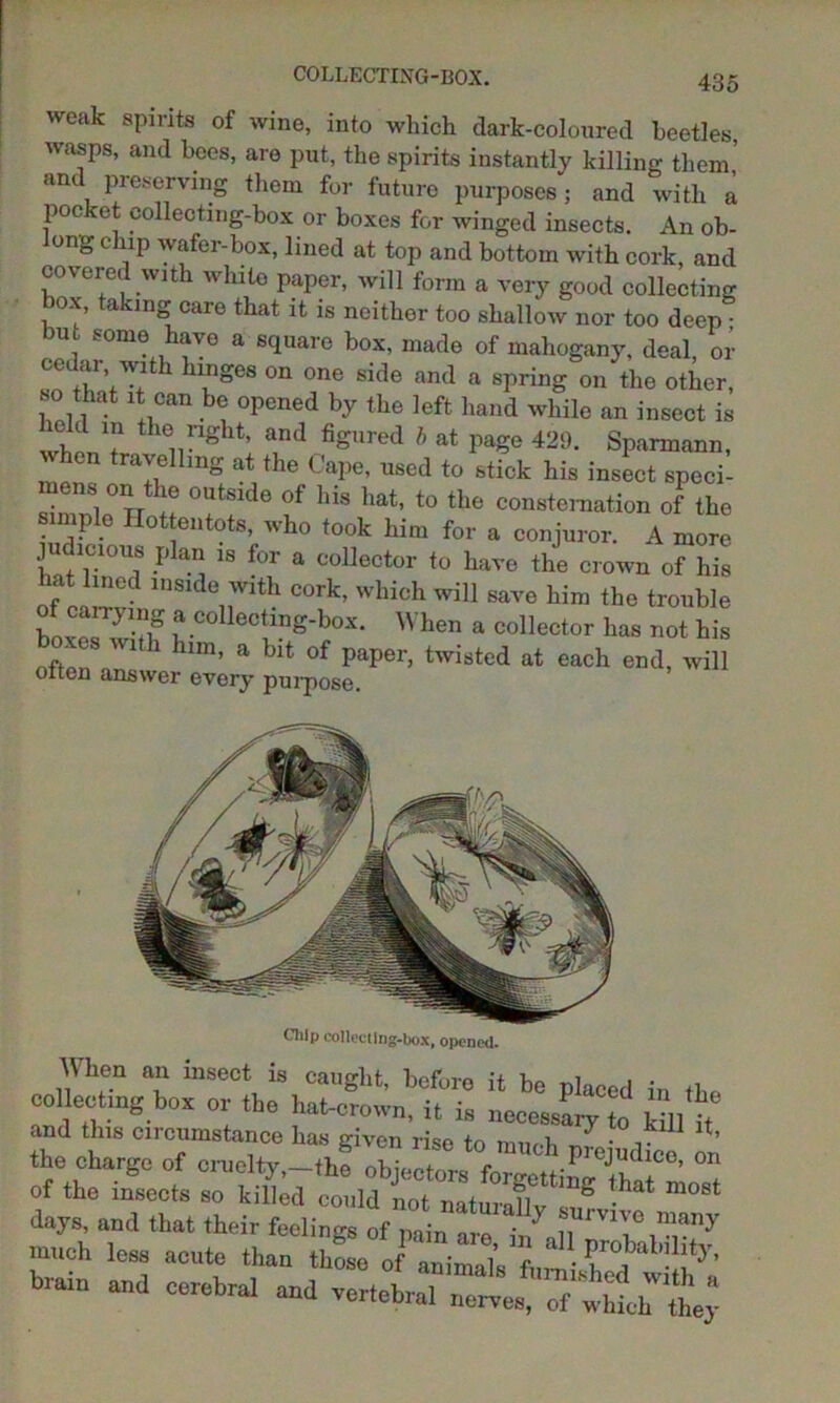 COLLECTING-BOX. weak spirits of wine, into which dark-coloured beetles wasps, and bees, are put, the spirits instantly killing them,’ and preserving them for future purposes; and with a pocket collecting-box or boxes for winged insects. An ob- iong chip wafer-box, lined at top and bottom with cork, and covered with white paper, will form a very good collecting box, taking care that it is neither too shallow nor too deep iu ■-ome avo a square box, made of mahogany, deal, or cet ai wit 1 hinges on one side and a spring on the other, so that it can be opened by the left hand while an insect is wheV? h611nght’ a1nd %ured b at page 429. Sparmann, en travelling at the Cape, used to stick his insect speci- Tfd6 f hi8 hat’ t0 the consternation of the simple Hottentots, who took him for a conjuror. A more judicious plan is for a collector to have the crown of his hat lined inside with cork, which will save him the trouble boxes ? C°lleCting-box* When a collector has not his often 1 him’ a blt °f paper> twistcd at each end, will often answer every purpose. Chip collecting-box, opened. Wlion nil insect is caught, before it bo placed in the collecting box or tbc habcroivn, it i8 „oce JL “ *£> the ctargToT cmcWy Tbfr t6 ‘°f mCh on »f tbc that mosl days, and that (heir feeling of ^.ve many much less acute than those „ “I ’ r Wn and cerebral and