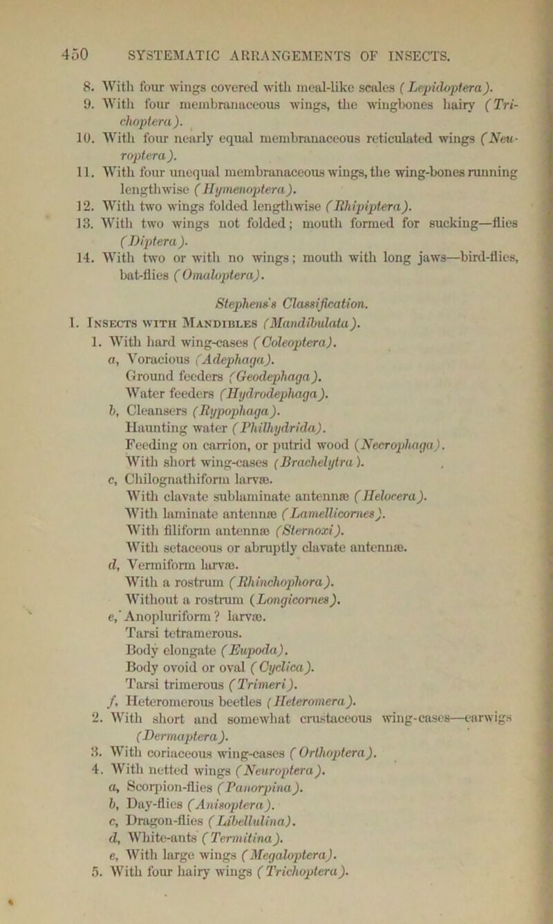 8. With four wings covered with meal-like scales (Lepidoptera). 9. With four membranaceous wings, tire wingbones hairy (Tri- choptera ). 10. With four nearly equal membranaceous reticulated wings (Neu- roptera). 11. With four unequal membranaceous wings, the wing-bones running lengthwise ( Hymenoptera). 12. With two wings folded lengthwise (Rhipiptera). 13. With two wings not folded; mouth formed for sucking—flies ( Diptera )■ 14. With two or with no wings; mouth with long jaws—bird-flies, bat-flies ( Omaloptera). Stephens's Classification. I. Insects with Mandibles (Mandibulatu). 1. With hard wing-cases (Coleoptera). a, Voracious (Adephaga). Ground feeders (Geodephaga). Water feeders (IIy dr adephaga). h, Cleansers (Rijpophaga). Haunting water (Philhydrida). Feeding on can-ion, or putrid wood (Necrophaga). With short wing-cases (Brachelytra,). c, Chilognathiform larvae. With clavate sublaminate antenna? (Helocera). With laminate antennae (Lamcllicomes). With filiform antennae (Sternoxi). With setaceous or abruptly clavate antennae. d, Vennifonn larvae. With a rostrum (Rhinchophora,). Without a rostrum (Longicomes). e, ’Anopluriform ? larvae. Tarsi tetramerous. Body elongate (Eupoda). Body ovoid or oval ( Cyclica). Tarsi trimerous ( Trimeri). /, Heteromerous beetles (Heteromera). 2. With short and somewhat crustaceous wing-cases—earwigs ( Dermaptera ). 3. With coriaceous wing-cases ( Orlhoptera). 4. With netted wings (Neuroptera). a, Scorpion-flies (Panorpina). b, Day-flies (Anisoptera). c, Dragon-flies (Libellulina). d, White-ants (Termitina). e, With large wings (Megaloptera). 5. With four hairy wings ( Trichoptera).