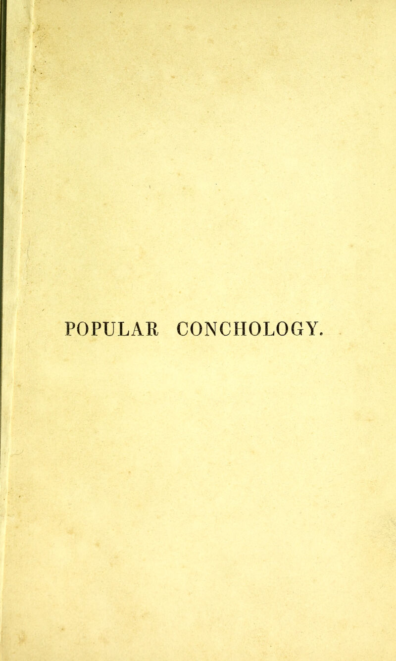 POPULAR CONCHOLOGY.