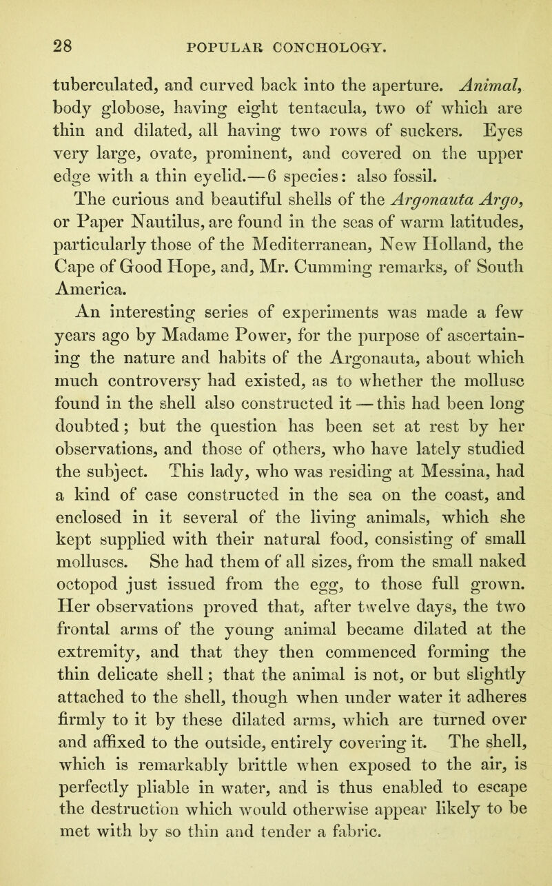 tuberculated, and curved back into the aperture. Animal, body globose, having eight tentacula, two of which are thin and dilated, all having two rows of suckers. Eyes very large, ovate, prominent, and covered on the upper edge with a thin eyelid.—6 species: also fossil. The curious and beautiful shells of the Argonauta Argo, or Paper Nautilus, are found in the seas of warm latitudes, particularly those of the Mediterranean, New Holland, the Cape of Good Hope, and, Mr. Gumming remarks, of South America. An interesting series of experiments was made a few years ago by Madame Power, for the purpose of ascertain- ing the nature and habits of the Argonauta, about which much controversy had existed, as to whether the mollusc found in the shell also constructed it — this had been long doubted; but the question has been set at rest by her observations, and those of others, who have lately studied the subject. This lady, who was residing at Messina, had a kind of case constructed in the sea on the coast, and enclosed in it several of the living animals, which she kept supplied with their natural food, consisting of small molluscs. She had them of all sizes, from the small naked octopod just issued from the egg, to those full grown. Her observations proved that, after twelve days, the two frontal arms of the young animal became dilated at the extremity, and that they then commenced forming the thin delicate shell; that the animal is not, or but slightly attached to the shell, though when under water it adheres firmly to it by these dilated arms, which are turned over and affixed to the outside, entirely covering it. The shell, which is remarkably brittle when exposed to the air, is perfectly pliable in water, and is thus enabled to escape the destruction which would otherwise appear likely to be met with by so thin and tender a fabric.