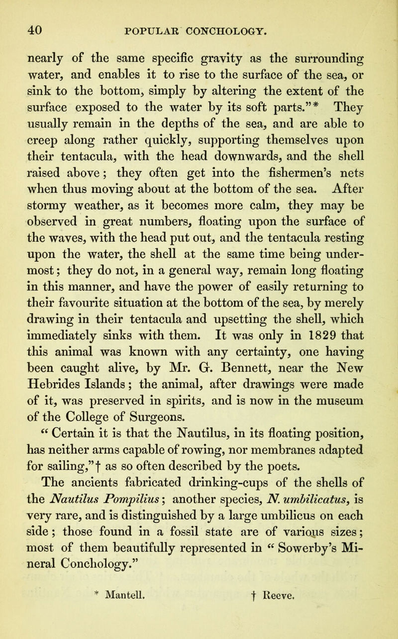 nearly of the same specific gravity as the surrounding water, and enables it to rise to the surface of the sea, or sink to the bottom, simply by altering the extent of the surface exposed to the water by its soft parts.”* They usually remain in the depths of the sea, and are able to creep along rather quickly, supporting themselves upon their tentacula, with the head downwards, and the shell raised above; they often get into the fishermen’s nets when thus moving about at the bottom of the sea. After stormy weather, as it becomes more calm, they may be observed in great numbers, floating upon the surface of the waves, with the head put out, and the tentacula resting upon the water, the shell at the same time being under- most ; they do not, in a general way, remain long floating in this manner, and have the power of easily returning to their favourite situation at the bottom of the sea, by merely drawing in their tentacula and upsetting the shell, which immediately sinks with them. It was only in 1829 that this animal was known with any certainty, one having been caught alive, by Mr. Gr. Bennett, near the New Hebrides Islands; the animal, after drawings were made of it, was preserved in spirits, and is now in the museum of the College of Surgeons. “ Certain it is that the Nautilus, in its floating position, has neither arms capable of rowing, nor membranes adapted for sailing,”! as so often described by the poets. The ancients fabricated drinking-cups of the shells of the Nautilus Pompilius; another species, N. umbilicatus, is very rare, and is distinguished by a large umbilicus on each side; those found in a fossil state are of various sizes; most of them beautifully represented in “ Sowerby’s Mi- neral Conchology.” * Mantell. f Reeve.