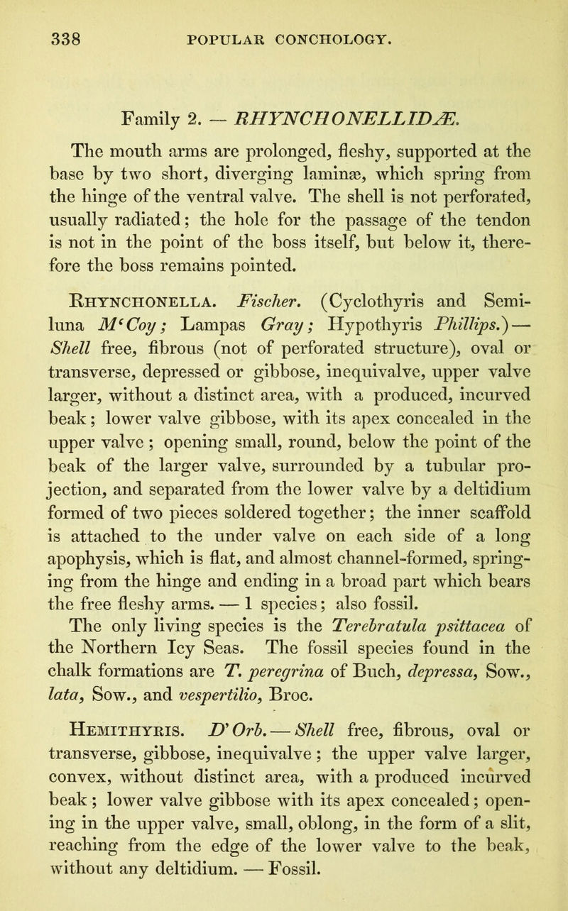 Family 2. — RHYNCH ONELLIDJE. The mouth arms are prolonged, fleshy, supported at the base by two short, diverging laminge, which spring from the hinge of the ventral valve. The shell is not perforated, usually radiated; the hole for the passage of the tendon is not in the point of the boss itself, but below it, there- fore the boss remains pointed. Rhynchonella. Fischer. (Cyclothyris and Semi- luna McCoy; Lampas Gray; Hypothyris Phillips.') — Shell free, fibrous (not of perforated structure), oval or transverse, depressed or gibbose, inequivalve, upper valve larger, without a distinct area, with a produced, incurved beak; lower valve gibbose, with its apex concealed in the upper valve ; opening small, round, below the point of the beak of the larger valve, surrounded by a tubular pro- jection, and separated from the lower valve by a deltidium formed of two pieces soldered together; the inner scaffold is attached to the under valve on each side of a long apophysis, which is flat, and almost channel-formed, spring- ing from the hinge and ending in a broad part which bears the free fleshy arms. — 1 species; also fossil. The only living species is the Terehratula psittacea of the Northern Icy Seas. The fossil species found in the chalk formations are T. peregrina of Buch, depress a, Sow., lata, Sow., and vespertilio, Broc. Hemithyris. D'Orb.— Shell free, fibrous, oval or transverse, gibbose, inequivalve; the upper valve larger, convex, without distinct area, with a produced incurved beak ; lower valve gibbose with its apex concealed; open- ing in the upper valve, small, oblong, in the form of a slit, reaching from the edge of the lower valve to the beak, without any deltidium. — Fossil.