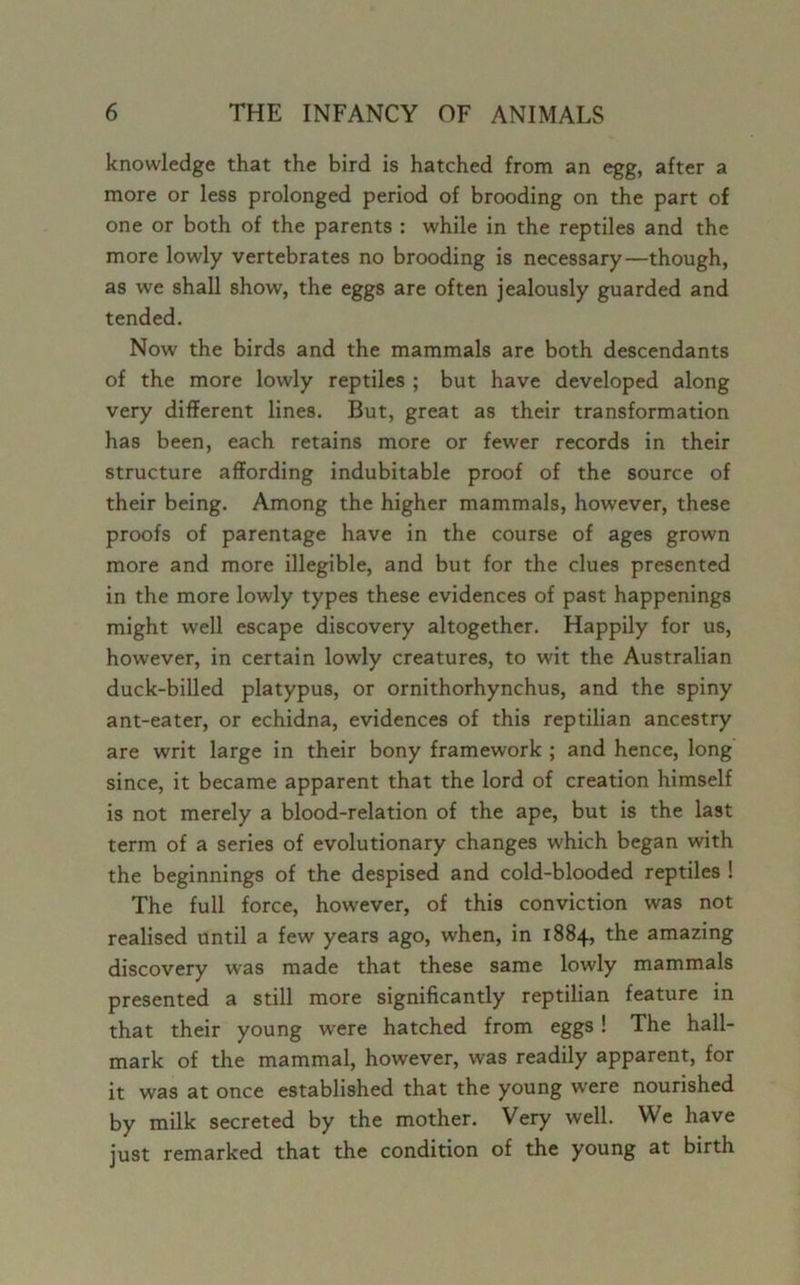 knowledge that the bird is hatched from an egg, after a more or less prolonged period of brooding on the part of one or both of the parents : while in the reptiles and the more lowly vertebrates no brooding is necessary—though, as we shall show, the eggs are often jealously guarded and tended. Now the birds and the mammals are both descendants of the more lowly reptiles ; but have developed along very different lines. But, great as their transformation has been, each retains more or fewer records in their structure affording indubitable proof of the source of their being. Among the higher mammals, however, these proofs of parentage have in the course of ages grown more and more illegible, and but for the clues presented in the more lowly types these evidences of past happenings might well escape discovery altogether. Happily for us, however, in certain lowly creatures, to wit the Australian duck-billed platypus, or ornithorhynchus, and the spiny ant-eater, or echidna, evidences of this reptilian ancestry are writ large in their bony framework ; and hence, long since, it became apparent that the lord of creation himself is not merely a blood-relation of the ape, but is the last term of a series of evolutionary changes which began with the beginnings of the despised and cold-blooded reptiles ! The full force, however, of this conviction was not realised until a few years ago, when, in 1884, the amazing discovery was made that these same lowly mammals presented a still more significantly reptilian feature in that their young wrere hatched from eggs ! The hall- mark of the mammal, however, was readily apparent, for it was at once established that the young were nourished by milk secreted by the mother. Very well. We have just remarked that the condition of the young at birth