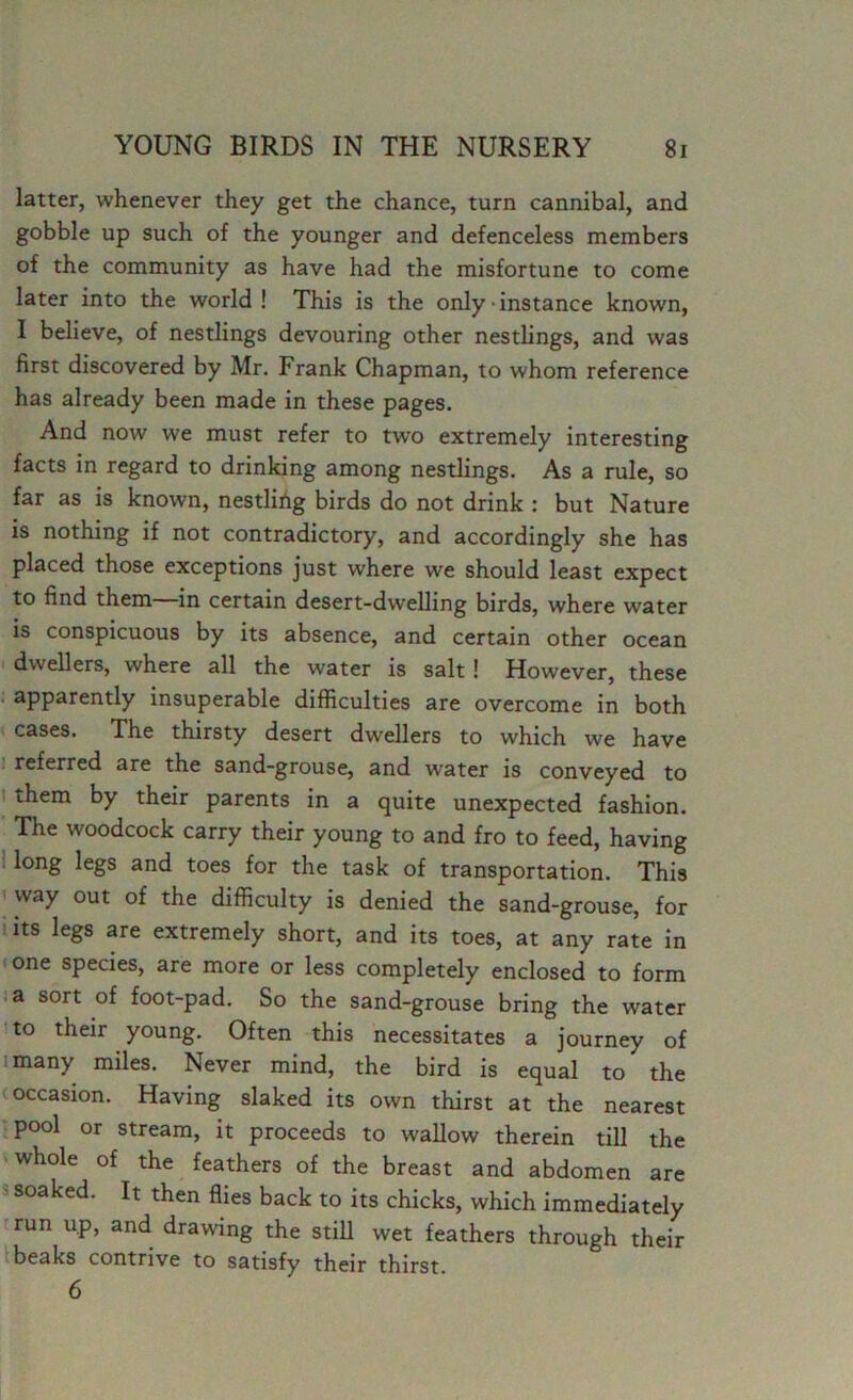 latter, whenever they get the chance, turn cannibal, and gobble up such of the younger and defenceless members of the community as have had the misfortune to come later into the world! This is the only-instance known, I believe, of nestlings devouring other nestlings, and was first discovered by Mr. Frank Chapman, to whom reference has already been made in these pages. And now we must refer to two extremely interesting facts in regard to drinking among nestlings. As a rule, so far as is known, nestlifig birds do not drink : but Nature is nothing if not contradictory, and accordingly she has placed those exceptions just where we should least expect to find them in certain desert-dwelling birds, where water is conspicuous by its absence, and certain other ocean dwellers, where all the water is salt ! However, these apparently insuperable difficulties are overcome in both cases. The thirsty desert dwellers to which we have referred are the sand-grouse, and water is conveyed to them by their parents in a quite unexpected fashion. The woodcock carry their young to and fro to feed, having long legs and toes for the task of transportation. This way out of the difficulty is denied the sand-grouse, for its legs are extremely short, and its toes, at any rate in one species, are more or less completely enclosed to form a sort of foot-pad. So the sand-grouse bring the water to their young. Often this necessitates a journey of many miles. Never mind, the bird is equal to the occasion. Having slaked its own thirst at the nearest pool or stream, it proceeds to wallow therein till the whole of the feathers of the breast and abdomen are soaked. It then flies back to its chicks, which immediately run up, and drawing the still wet feathers through their beaks contrive to satisfy their thirst 6