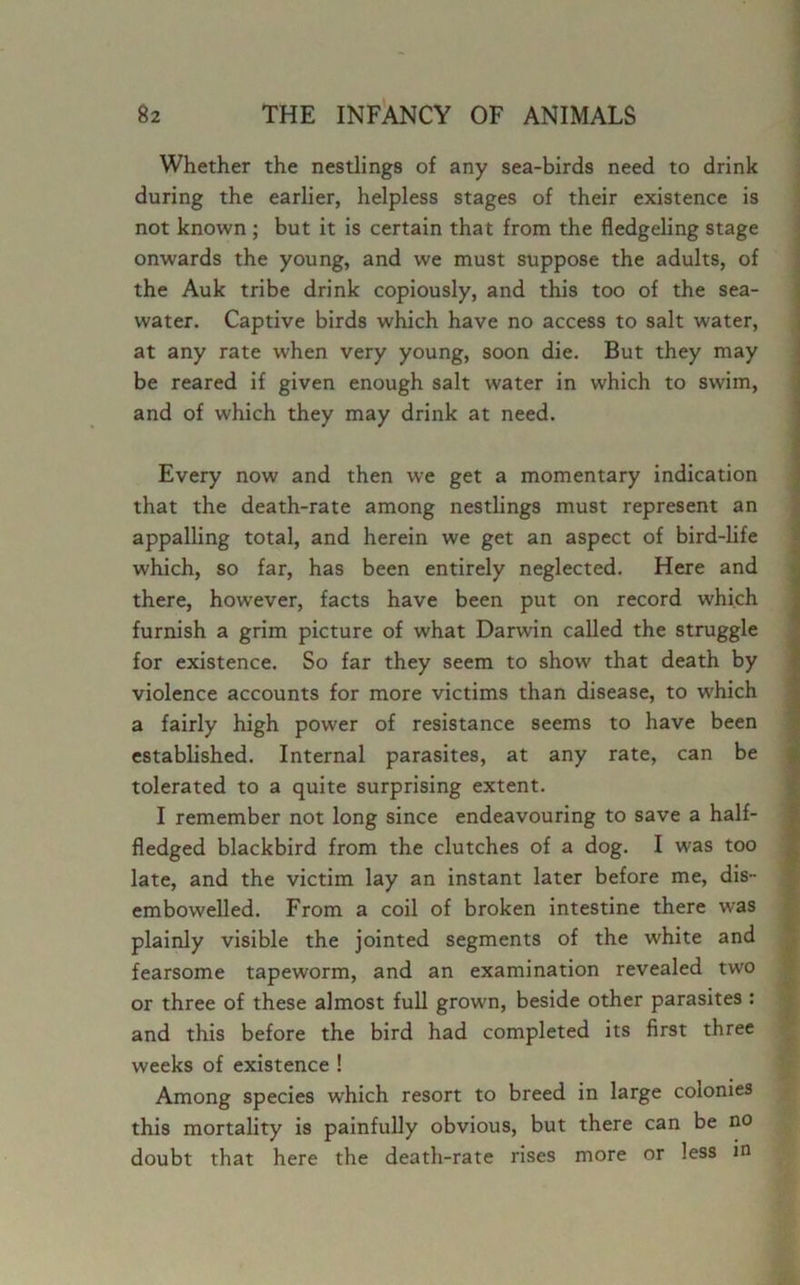 Whether the nestlings of any sea-birds need to drink during the earlier, helpless stages of their existence is not known ; but it is certain that from the fledgeling stage onwards the young, and we must suppose the adults, of the Auk tribe drink copiously, and this too of the sea- water. Captive birds which have no access to salt water, at any rate when very young, soon die. But they may be reared if given enough salt water in which to swim, and of which they may drink at need. Every now and then we get a momentary indication that the death-rate among nestlings must represent an appalling total, and herein we get an aspect of bird-life which, so far, has been entirely neglected. Here and there, however, facts have been put on record which furnish a grim picture of what Darwin called the struggle for existence. So far they seem to show that death by violence accounts for more victims than disease, to which a fairly high power of resistance seems to have been established. Internal parasites, at any rate, can be tolerated to a quite surprising extent. I remember not long since endeavouring to save a half- fledged blackbird from the clutches of a dog. I was too late, and the victim lay an instant later before me, dis- embowelled. From a coil of broken intestine there was plainly visible the jointed segments of the white and fearsome tapeworm, and an examination revealed two or three of these almost full grown, beside other parasites : and this before the bird had completed its first three weeks of existence ! Among species which resort to breed in large colonies this mortality is painfully obvious, but there can be no doubt that here the death-rate rises more or less in