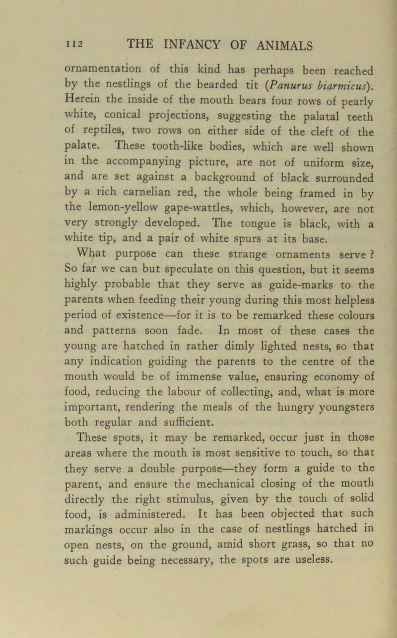 ornamentation of this kind has perhaps been reached by the nestlings of the bearded tit (Panurus biarmicus). Herein the inside of the mouth bears four rows of pearly white, conical projections, suggesting the palatal teeth of reptiles, two rows on either side of the cleft of the palate. These tooth-like bodies, which are well shown in the accompanying picture, are not of uniform size, and are set against a background of black surrounded by a rich carnelian red, the whole being framed in by the lemon-yellow gape-wattles, which, however, are not very strongly developed. The tongue is black, with a white tip, and a pair of white spurs at its base. What purpose can these strange ornaments serve ? So far we can but speculate on this question, but it seems highly probable that they serve as guide-marks to the parents when feeding their young during this most helpless period of existence—for it is to be remarked these colours and patterns soon fade. In most of these cases the young are hatched in rather dimly lighted nests, so that any indication guiding the parents to the centre of the mouth would be of immense value, ensuring economy of food, reducing the labour of collecting, and, what is more important, rendering the meals of the hungry youngsters both regular and sufficient. These spots, it may be remarked, occur just in those areas where the mouth is most sensitive to touch, so that they serve a double purpose—they form a guide to the parent, and ensure the mechanical closing of the mouth directly the right stimulus, given by the touch of solid food, is administered. It has been objected that such markings occur also in the case of nestlings hatched in open nests, on the ground, amid short grass, so that no such guide being necessary, the spots are useless.