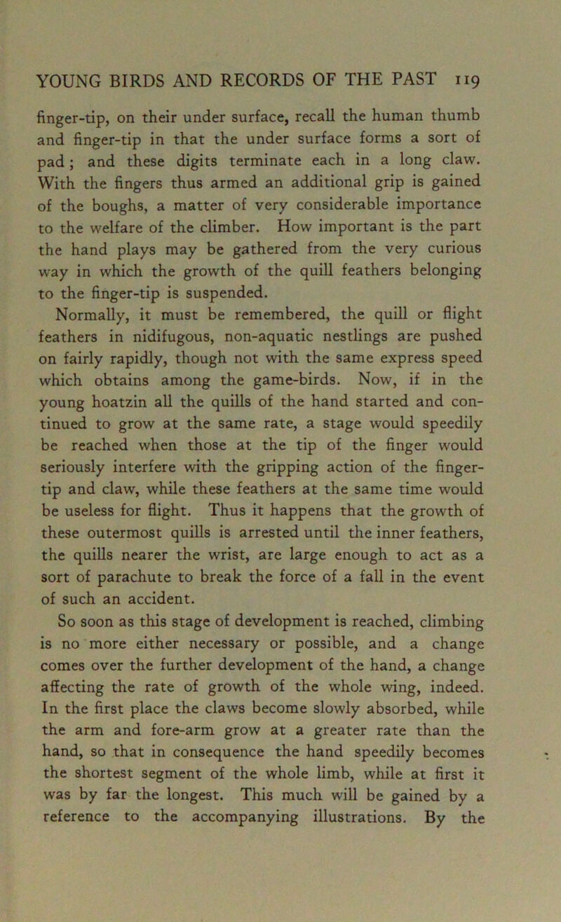 finger-tip, on their under surface, recall the human thumb and finger-tip in that the under surface forms a sort of pad; and these digits terminate each in a long claw. With the fingers thus armed an additional grip is gained of the boughs, a matter of very considerable importance to the welfare of the climber. How important is the part the hand plays may be gathered from the very curious way in which the growth of the quill feathers belonging to the finger-tip is suspended. Normally, it must be remembered, the quill or flight feathers in nidifugous, non-aquatic nestlings are pushed on fairly rapidly, though not with the same express speed which obtains among the game-birds. Now, if in the young hoatzin all the quills of the hand started and con- tinued to grow at the same rate, a stage would speedily be reached when those at the tip of the finger would seriously interfere with the gripping action of the finger- tip and claw, while these feathers at the same time would be useless for flight. Thus it happens that the growth of these outermost quills is arrested until the inner feathers, the quills nearer the wrist, are large enough to act as a sort of parachute to break the force of a fall in the event of such an accident. So soon as this stage of development is reached, climbing is no more either necessary or possible, and a change comes over the further development of the hand, a change affecting the rate of growth of the whole wing, indeed. In the first place the claws become slowly absorbed, while the arm and fore-arm grow at a greater rate than the hand, so that in consequence the hand speedily becomes the shortest segment of the whole limb, while at first it was by far the longest. This much will be gained by a reference to the accompanying illustrations. By the