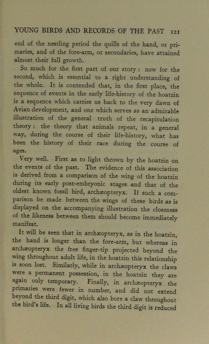 end of the nestling period the quills of the hand, or pri- maries, and of the fore-arm, or secondaries, have attained almost their full growth. So much for the first part of our story : now for the second, which is essential to a right understanding of the whole. It is contended that, in the first place, the sequence of events in the early life-history of the hoatzin is a sequence which carries us back to the very dawn of Avian development, and one which serves as an admirable illustration of the general truth of the recapitulation theory : the theory that animals repeat, in a general way, during the course of their life-history, what has been the history of their race during the course of ages. Very well. First as to light thrown by the hoatzin on the events of the past. The evidence of this association is derived from a comparison of the wing of the hoatzin during its early post-embryonic stages and that of the oldest known fossil bird, archaeopteryx. If such a com- parison be made between the wings of these birds as is displayed on the accompanying illustration the closeness of the likeness between them should become immediately manifest. It will be seen that in archaeopteryx, as in the hoatzin, the hand is longer than the fore-arm, but whereas in archaeopteryx the free finger-tip projected beyond the wing throughout adult life, in the hoatzin this relationship is soon lost. Similarly, while in archaeopteryx the claws were a permanent possession, in the hoatzin they are again only temporary. Finally, in archaeopteryx the primaries were fewer in number, and did not extend beyond the third digit, which also bore a claw throughout the bird s life. In all living birds the third digit is reduced