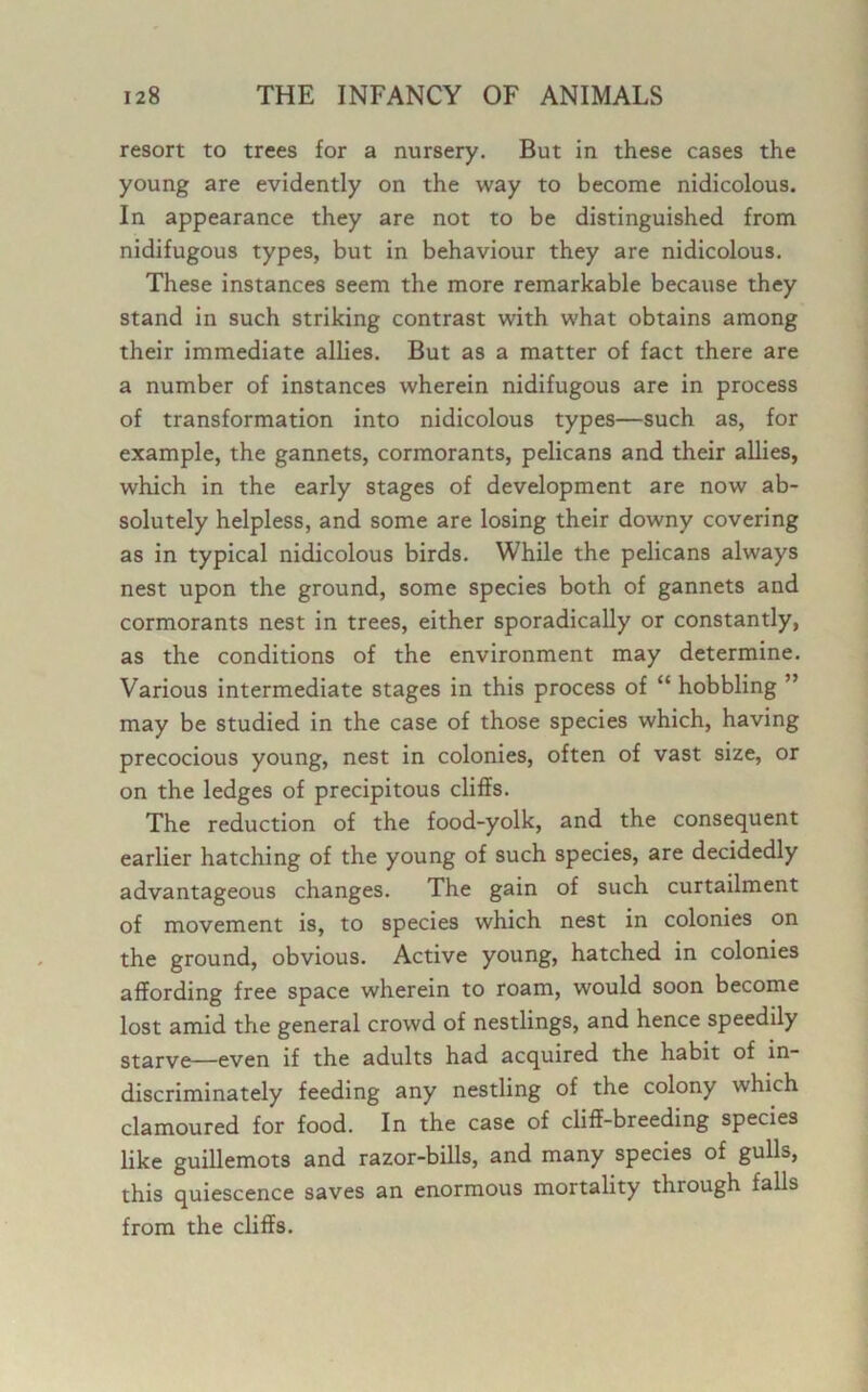 resort to trees for a nursery. But in these cases the young are evidently on the way to become nidicolous. In appearance they are not to be distinguished from nidifugous types, but in behaviour they are nidicolous. These instances seem the more remarkable because they stand in such striking contrast with what obtains among their immediate allies. But as a matter of fact there are a number of instances wherein nidifugous are in process of transformation into nidicolous types—such as, for example, the gannets, cormorants, pelicans and their allies, which in the early stages of development are now ab- solutely helpless, and some are losing their downy covering as in typical nidicolous birds. While the pelicans always nest upon the ground, some species both of gannets and cormorants nest in trees, either sporadically or constantly, as the conditions of the environment may determine. Various intermediate stages in this process of “ hobbling ” may be studied in the case of those species which, having precocious young, nest in colonies, often of vast size, or on the ledges of precipitous cliffs. The reduction of the food-yolk, and the consequent earlier hatching of the young of such species, are decidedly advantageous changes. The gain of such curtailment of movement is, to species which nest in colonies on the ground, obvious. Active young, hatched in colonies affording free space wherein to roam, would soon become lost amid the general crowd of nestlings, and hence speedily starve—even if the adults had acquired the habit of in- discriminately feeding any nestling of the colony which clamoured for food. In the case of cliff-breeding species like guillemots and razor-bills, and many species of gulls, this quiescence saves an enormous mortality through falls from the cliffs.