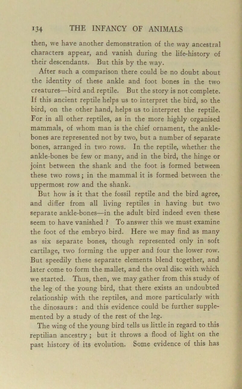 then, we have another demonstration of the way ancestral characters appear, and vanish during the life-history of their descendants. But this by the way. After such a comparison there could be no doubt about the identity of these ankle and foot bones in the two creatures—bird and reptile. But the story is not complete. If this ancient reptile helps us to interpret the bird, so the bird, on the other hand, helps us to interpret the reptile. For in all other reptiles, as in the more highly organised mammals, of whom man is the chief ornament, the ankle- bones are represented not by two, but a number of separate bones, arranged in two rows. In the reptile, whether the ankle-bones be few or many, and in the bird, the hinge or joint between the shank and the foot is formed between these two rows; in the mammal it is formed between the uppermost row and the shank. But how is it that the fossil reptile and the bird agree, and differ from all living reptiles in having but two separate ankle-bones—in the adult bird indeed even these seem to have vanished ? To answer this we must examine the foot of the embryo bird. Here we may find as many as six separate bones, though represented only in soft cartilage, two forming the upper and four the lower row. But speedily these separate elements blend together, and later come to form the mallet, and the oval disc with which we started. Thus, then, we may gather from this study of the leg of the young bird, that there exists an undoubted relationship with the reptiles, and more particularly with the dinosaurs : and this evidence could be further supple- mented by a study of the rest of the leg. The wing of the young bird tells us little in regard to this reptilian ancestry ; but it throws a flood of light on the past history of its evolution. Some evidence of this has