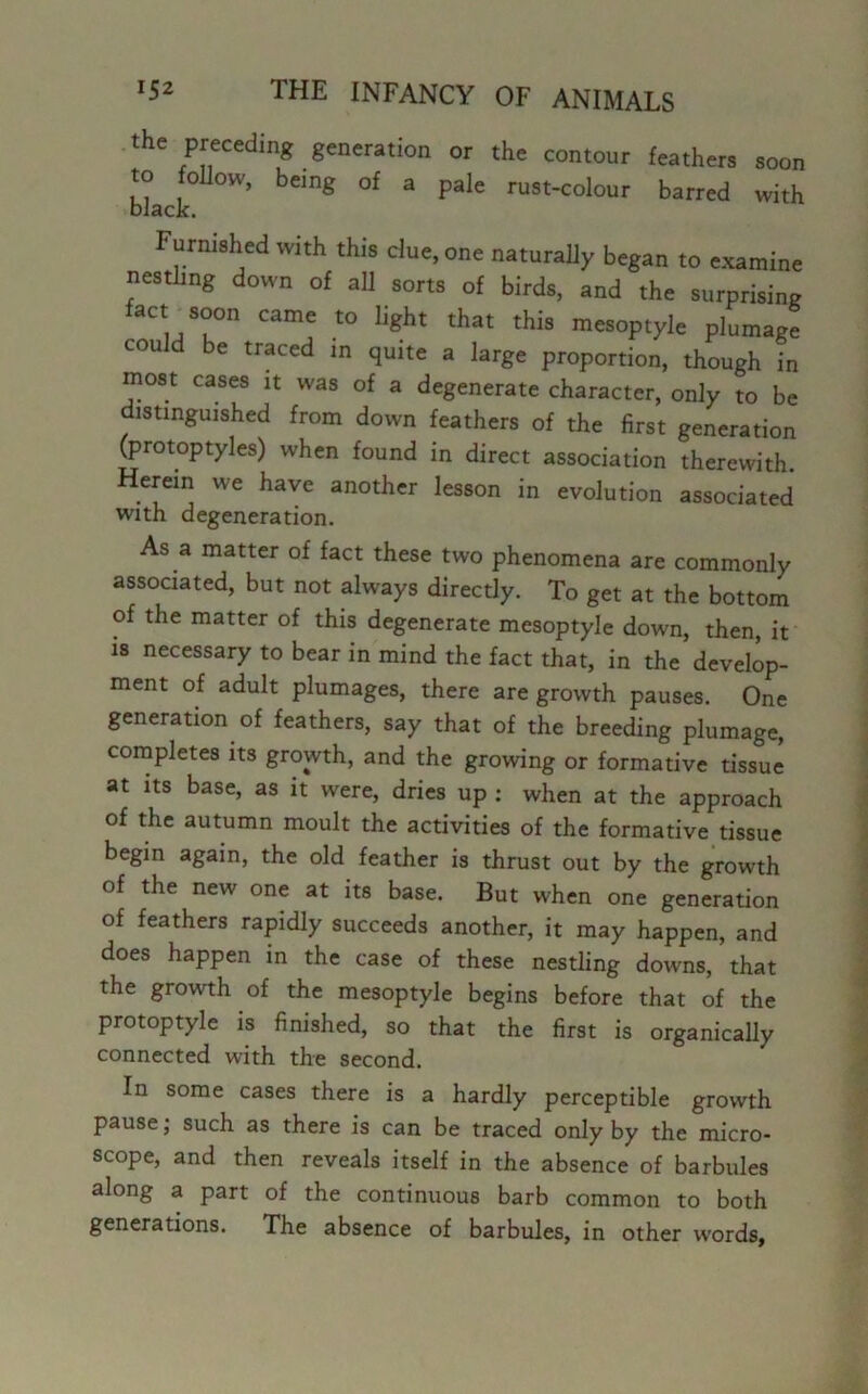 the preceding generation or the contour feathers soon to follow, being of a pale rust-colour barred with black. Furnished with this due, one naturally began to examine nestling down of all sorts of birds, and the surprising act soon came to light that this mesoptyle plumage could be traced in quite a large proportion, though in most cases it was of a degenerate character, only to be distinguished from down feathers of the first generation (protoptyles) when found in direct association therewith. Herein we have another lesson in evolution associated with degeneration. As a matter of fact these two phenomena are commonly associated, but not always directly. To get at the bottom of the matter of this degenerate mesoptyle down, then, it is necessary to bear in mind the fact that, in the develop- ment of adult plumages, there are growth pauses. One generation of feathers, say that of the breeding plumage, completes its growth, and the growing or formative tissue at its base, as it were, dries up : when at the approach of the autumn moult the activities of the formative tissue begin again, the old feather is thrust out by the growth of the new one at its base. But when one generation of feathers rapidly succeeds another, it may happen, and does happen in the case of these nestling downs, that the growth of the mesoptyle begins before that of the protoptyle is finished, so that the first is organically connected with the second. In some cases there is a hardly perceptible growth pause; such as there is can be traced only by the micro- scope, and then reveals itself in the absence of barbules along a part of the continuous barb common to both generations. The absence of barbules, in other words,