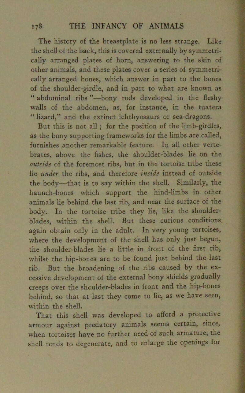 The history of the breastplate is no less strange. Like the shell of the back, this is covered externally by symmetri- cally arranged plates of horn, answering to the skin of other animals, and these plates cover a series of symmetri- cally arranged bones, which answer in part to the bones of the shoulder-girdle, and in part to what are known as “ abdominal ribs ”—bony rods developed in the fleshy walls of the abdomen, as, for instance, in the tuatera “ lizard,” and the extinct ichthyosaurs or sea-dragons. But this is not all ; for the position of the limb-girdles, as the bony supporting frameworks for the limbs are called, furnishes another remarkable feature. In all other verte- brates, above the fishes, the shoulder-blades lie on the outside of the foremost ribs, but in the tortoise tribe these lie under the ribs, and therefore inside instead of outside the body—that is to say within the shell. Similarly, the haunch-bones which support the hind-limbs in other animals lie behind the last rib, and near the surface of the body. In the tortoise tribe they lie, like the shoulder- blades, ■within the shell. But these curious conditions, again obtain only in the adult. In very young tortoises, where the development of the shell has only just begun, the shoulder-blades lie a little in front of the first rib, whilst the hip-bones are to be found just behind the last rib. But the broadening of the ribs caused by the ex- cessive development of the external bony shields gradually creeps over the shoulder-blades in front and the hip-bones behind, so that at last they come to lie, as we have seen, within the shell. That this shell was developed to afford a protective armour against predatory animals seems certain, since, when tortoises have no further need of such armature, the shell tends to degenerate, and to enlarge the openings for