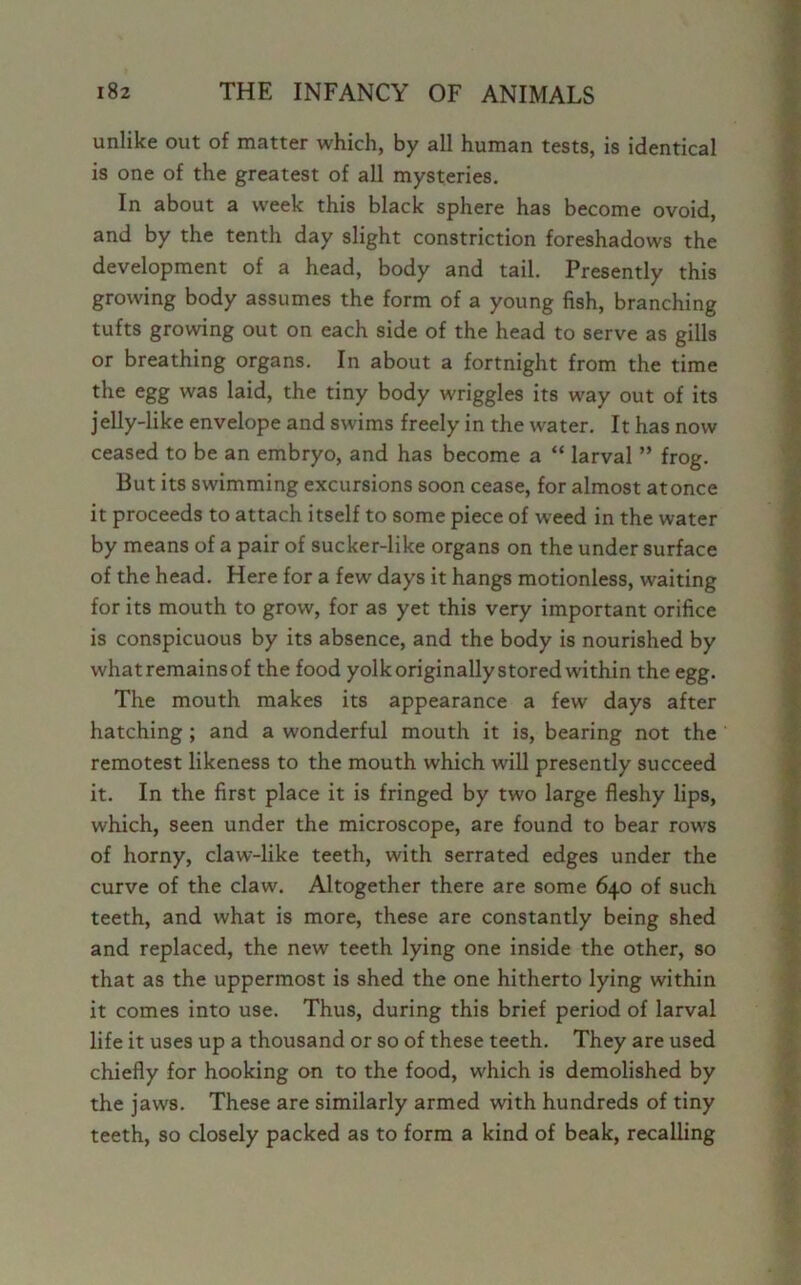 unlike out of matter which, by all human tests, is identical is one of the greatest of all mysteries. In about a week this black sphere has become ovoid, and by the tenth day slight constriction foreshadows the development of a head, body and tail. Presently this growing body assumes the form of a young fish, branching tufts growing out on each side of the head to serve as gills or breathing organs. In about a fortnight from the time the egg was laid, the tiny body wriggles its way out of its jelly-like envelope and swims freely in the water. It has now ceased to be an embryo, and has become a “ larval ” frog. But its swimming excursions soon cease, for almost atonce it proceeds to attach itself to some piece of weed in the water by means of a pair of sucker-like organs on the under surface of the head. Here for a few days it hangs motionless, waiting for its mouth to grow, for as yet this very important orifice is conspicuous by its absence, and the body is nourished by what remains of the food yolk originally stored within the egg. The mouth makes its appearance a few days after hatching ; and a wonderful mouth it is, bearing not the remotest likeness to the mouth which will presently succeed it. In the first place it is fringed by two large fleshy lips, which, seen under the microscope, are found to bear rows of horny, claw-like teeth, with serrated edges under the curve of the claw. Altogether there are some 640 of such teeth, and what is more, these are constantly being shed and replaced, the new teeth lying one inside the other, so that as the uppermost is shed the one hitherto lying within it comes into use. Thus, during this brief period of larval life it uses up a thousand or so of these teeth. They are used chiefly for hooking on to the food, which is demolished by the jaws. These are similarly armed with hundreds of tiny teeth, so closely packed as to form a kind of beak, recalling