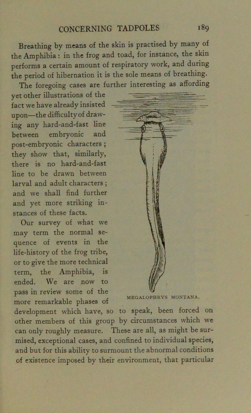 Breathing by means of the skin is practised by many of the Amphibia : in the frog and toad, for instance, the skin performs a certain amount of respiratory work, and during the period of hibernation it is the sole means of breathing. The foregoing cases are further interesting as affording yet other illustrations of the fact we have already insisted upon—the difficulty of draw- ing any hard-and-fast line between embryonic and post-embryonic characters ; they show that, similarly, there is no hard-and-fast line to be drawn between larval and adult characters ; and we shall find further and yet more striking in- stances of these facts. Our survey of what we may term the normal se- quence of events in the life-history of the frog tribe, or to give the more technical term, the Amphibia, is ended. We are now to pass in review some of the 1 ,111 r MEGALOPHRYS MONTANA. more remarkable phases 01 development which have, so to speak, been forced on other members of this group by circumstances which we can only roughly measure. These are all, as might be sur- mised, exceptional cases, and confined to individual species, and but for this ability to surmount the abnormal conditions of existence imposed by their environment, that particular