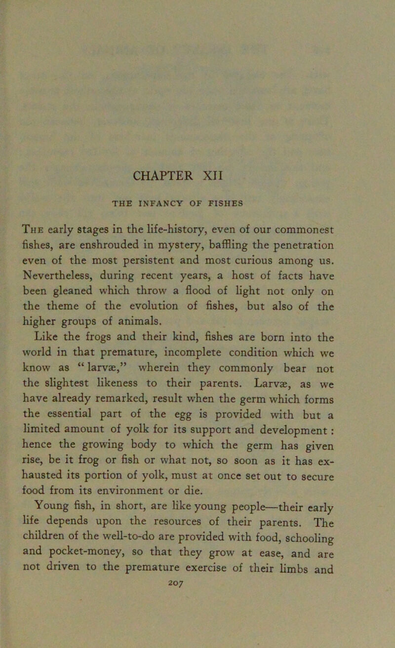 CHAPTER XII THE INFANCY OF FISHES The early stages in the life-history, even of our commonest fishes, are enshrouded in mystery, baffling the penetration even of the most persistent and most curious among us. Nevertheless, during recent years, a host of facts have been gleaned which throw a flood of light not only on the theme of the evolution of fishes, but also of the higher groups of animals. Like the frogs and their kind, fishes are born into the world in that premature, incomplete condition which we know as “ larvae,” wherein they commonly bear not the slightest likeness to their parents. Larvae, as we have already remarked, result when the germ which forms the essential part of the egg is provided with but a limited amount of yolk for its support and development : hence the growing body to which the germ has given rise, be it frog or fish or what not, so soon as it has ex- hausted its portion of yolk, must at once set out to secure food from its environment or die. Young fish, in short, are like young people—their early life depends upon the resources of their parents. The children of the well-to-do are provided with food, schooling and pocket-money, so that they grow at ease, and are not driven to the premature exercise of their limbs and