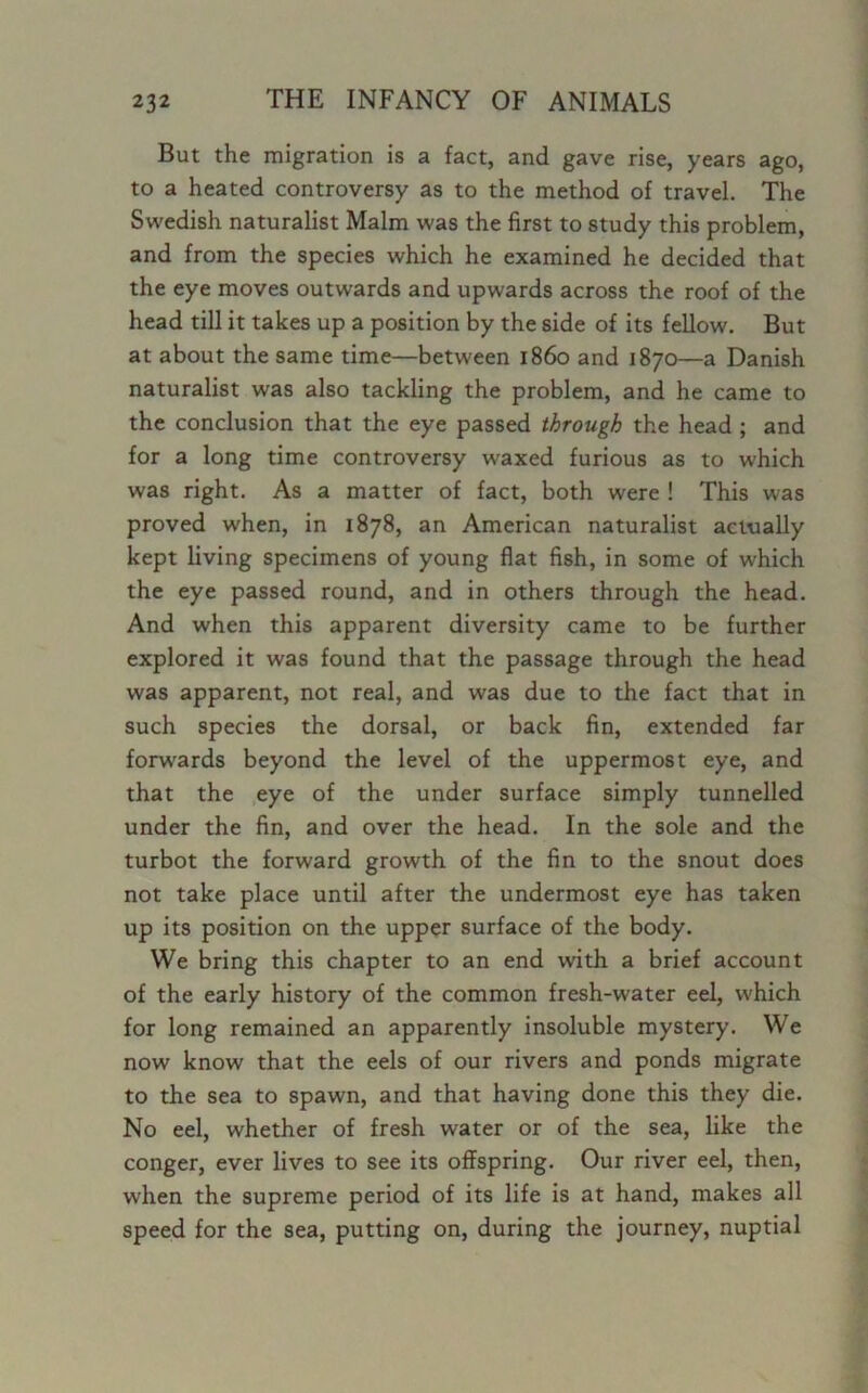 But the migration is a fact, and gave rise, years ago, to a heated controversy as to the method of travel. The Swedish naturalist Malm was the first to study this problem, and from the species which he examined he decided that the eye moves outwards and upwards across the roof of the head till it takes up a position by the side of its fellow. But at about the same time—between i860 and 1870—a Danish naturalist was also tackling the problem, and he came to the conclusion that the eye passed through the head ; and for a long time controversy waxed furious as to which was right. As a matter of fact, both were ! This was proved when, in 1878, an American naturalist actually kept living specimens of young flat fish, in some of which the eye passed round, and in others through the head. And when this apparent diversity came to be further explored it was found that the passage through the head was apparent, not real, and was due to the fact that in such species the dorsal, or back fin, extended far forwards beyond the level of the uppermost eye, and that the eye of the under surface simply tunnelled under the fin, and over the head. In the sole and the turbot the forward growth of the fin to the snout does not take place until after the undermost eye has taken up its position on the upper surface of the body. We bring this chapter to an end with a brief account of the early history of the common fresh-water eel, which for long remained an apparently insoluble mystery. We now know that the eels of our rivers and ponds migrate to the sea to spawn, and that having done this they die. No eel, whether of fresh water or of the sea, like the conger, ever lives to see its offspring. Our river eel, then, when the supreme period of its life is at hand, makes all speed for the sea, putting on, during the journey, nuptial