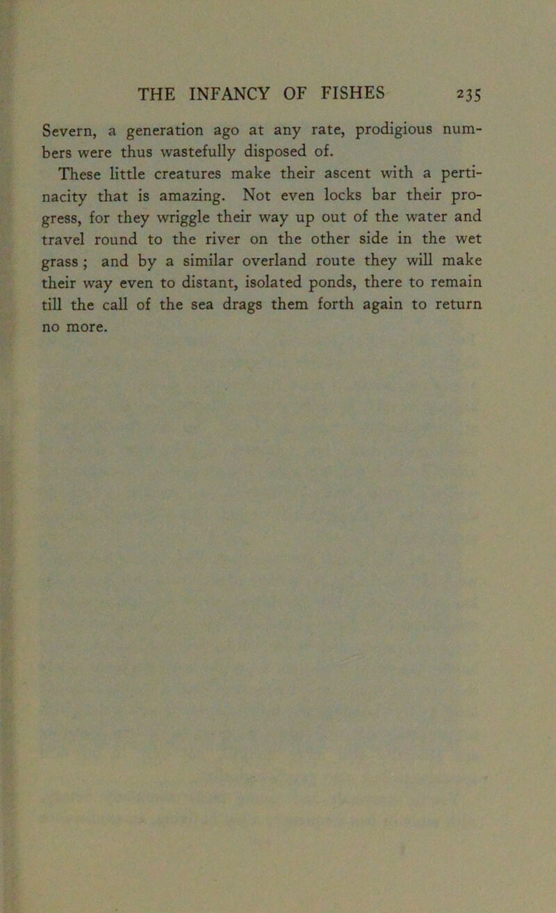 Severn, a generation ago at any rate, prodigious num- bers were thus wastefully disposed of. These little creatures make their ascent with a perti- nacity that is amazing. Not even locks bar their pro- gress, for they wriggle their way up out of the water and travel round to the river on the other side in the wet grass ; and by a similar overland route they will make their way even to distant, isolated ponds, there to remain till the call of the sea drags them forth again to return no more.