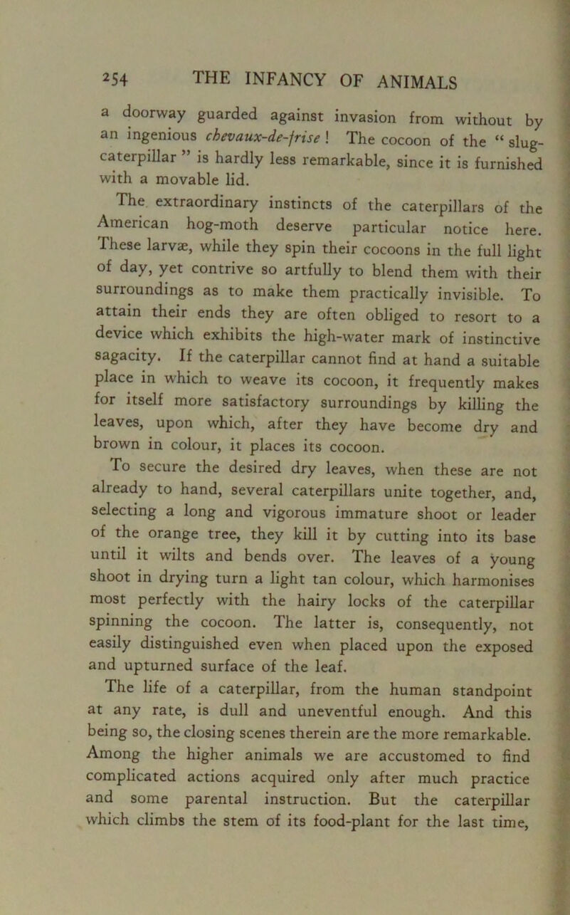 a doorway guarded against invasion from without by an ingenious ckevaux-de-jrise ! The cocoon of the “ slug- caterpillar ” is hardly less remarkable, since it is furnished with a movable lid. The extraordinary instincts of the caterpillars of the American hog-moth deserve particular notice here. These larvae, while they spin their cocoons in the full light of day, yet contrive so artfully to blend them with their surroundings as to make them practically invisible. To attain their ends they are often obliged to resort to a device which exhibits the high-water mark of instinctive sagacity. If the caterpillar cannot find at hand a suitable place in which to weave its cocoon, it frequently makes for itself more satisfactory surroundings by killing the leaves, upon which, after they have become dry and brown in colour, it places its cocoon. To secure the desired dry leaves, when these are not already to hand, several caterpillars unite together, and, selecting a long and vigorous immature shoot or leader of the orange tree, they kill it by cutting into its base until it wilts and bends over. The leaves of a young shoot in drying turn a light tan colour, which harmonises most perfectly with the hairy locks of the caterpillar spinning the cocoon. The latter is, consequently, not easily distinguished even when placed upon the exposed and upturned surface of the leaf. The life of a caterpillar, from the human standpoint at any rate, is dull and uneventful enough. And this being so, the closing scenes therein are the more remarkable. Among the higher animals we are accustomed to find complicated actions acquired only after much practice and some parental instruction. But the caterpillar which climbs the stem of its food-plant for the last time,