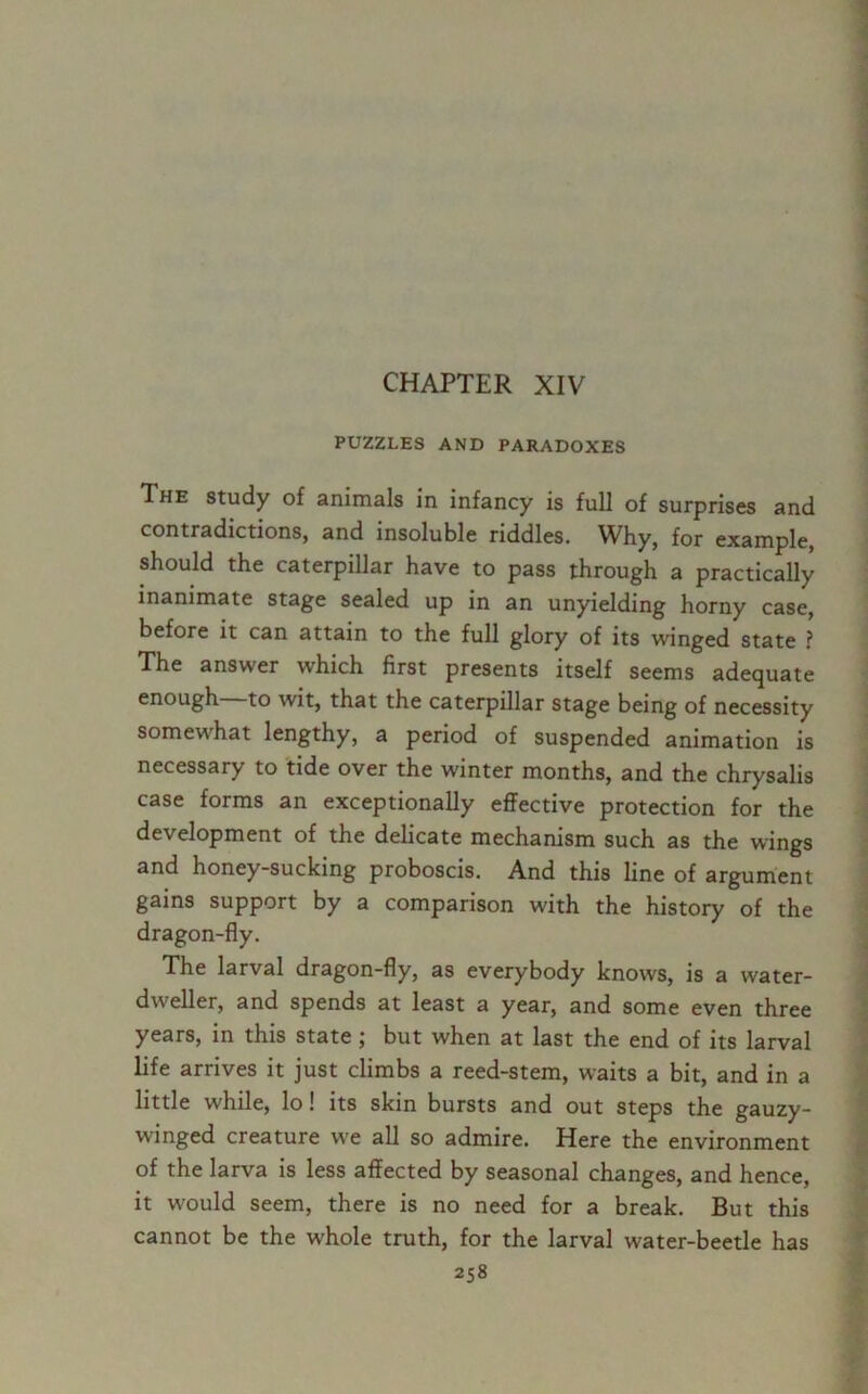 CHAPTER XIV PUZZLES AND PARADOXES The study of animals in infancy is full of surprises and contradictions, and insoluble riddles. Why, for example should the caterpillar have to pass through a practically inanimate stage sealed up in an unyielding horny case, before it can attain to the full glory of its winged state ? The answer which first presents itself seems adequate enough to wit, that the caterpillar stage being of necessity somewhat lengthy, a period of suspended animation is necessary to tide over the winter months, and the chrysalis case forms an exceptionally effective protection for the development of the delicate mechanism such as the wings and honey-sucking proboscis. And this line of argument gains support by a comparison with the history of the dragon-fly. The larval dragon-fly, as everybody knows, is a water- dweller, and spends at least a year, and some even three years, in this state ; but when at last the end of its larval life arrives it just climbs a reed-stem, waits a bit, and in a little while, lo! its skin bursts and out steps the gauzy- winged creature we all so admire. Here the environment of the larva is less affected by seasonal changes, and hence, it would seem, there is no need for a break. But this cannot be the whole truth, for the larval water-beetle has