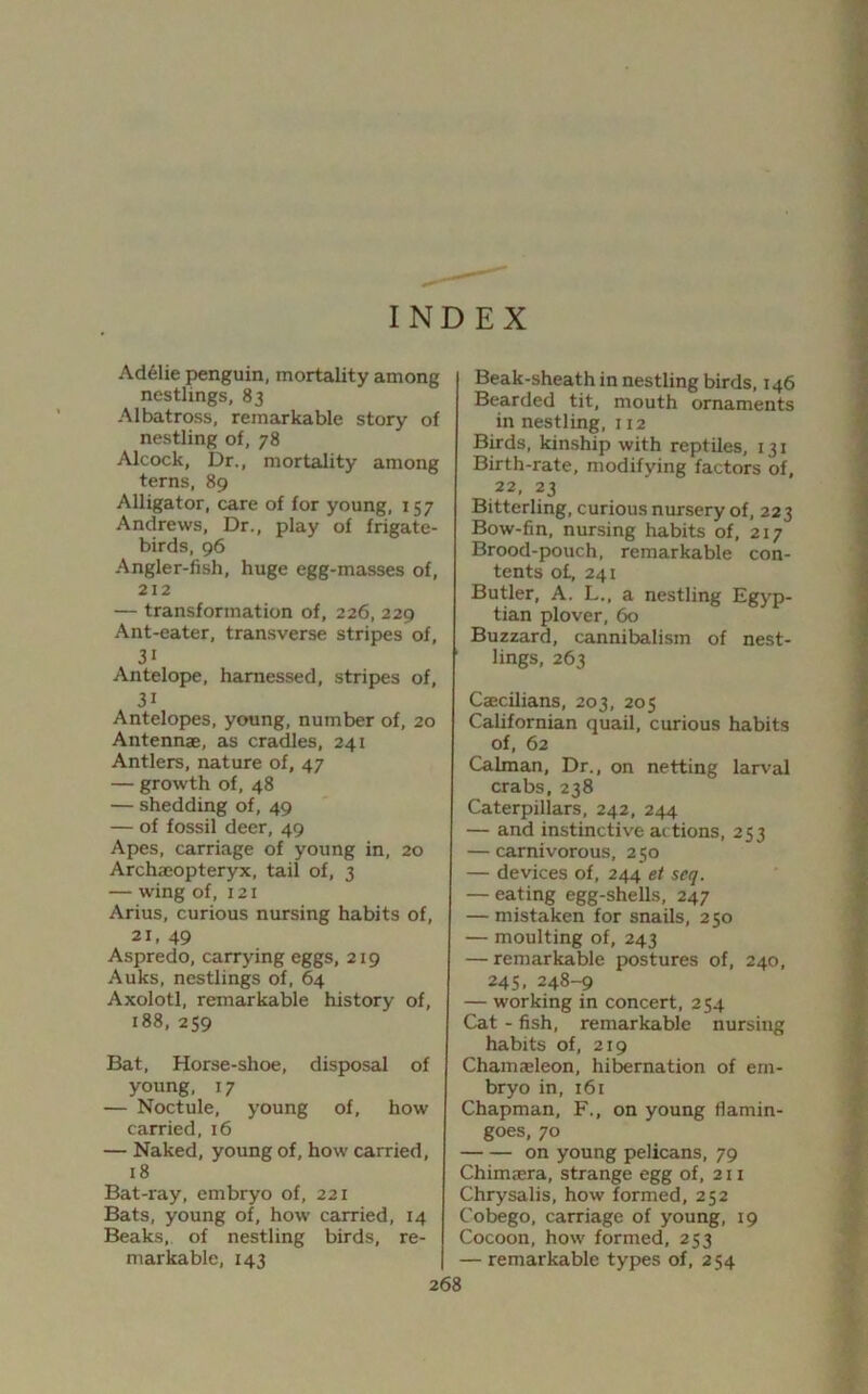 INDEX Adelie penguin, mortality among nestlings, 83 Albatross, remarkable story of nestling of, 78 Alcock, Dr., mortality among terns, 89 Alligator, care of for young, 157 Andrews, Dr., play of frigate- birds, 96 Angler-fish, huge egg-masses of, 212 — transformation of, 226, 229 Ant-eater, transverse stripes of, 3i Antelope, harnessed, stripes of, 3i Antelopes, young, number of, 20 Antennae, as cradles, 241 Antlers, nature of, 47 — growth of, 48 — shedding of, 49 — of fossil deer, 49 Apes, carriage of young in, 20 Archaeopteryx, tail of, 3 — wing of, 121 Arius, curious nursing habits of, 21, 49 Aspredo, carrying eggs, 219 Auks, nestlings of, 64 Axolotl, remarkable history of, 188, 259 Bat, Horse-shoe, disposal of young, 17 — Noctule, young of, how carried, 16 — Naked, young of, how carried, 18 Bat-ray, embryo of, 221 Bats, young of, how carried, 14 Beaks, of nestling birds, re- markable, 143 Beak-sheath in nestling birds, 146 Bearded tit, mouth ornaments in nestling, 112 Birds, kinship with reptiles, 131 Birth-rate, modifying factors of, 22, 23 Bitterling, curious nursery of, 223 Bow-fin, nursing habits of, 217 Brood-pouch, remarkable con- tents o£, 241 Butler, A. L., a nestling Egyp- tian plover, 60 Buzzard, cannibalism of nest- lings, 263 Caecilians, 203, 205 Californian quail, curious habits of, 62 Caiman, Dr., on netting larval crabs, 238 Caterpillars, 242, 244 — and instinctive actions, 253 — carnivorous, 250 — devices of, 244 et seq. — eating egg-shells, 247 — mistaken for snails, 250 — moulting of, 243 — remarkable postures of, 240, 245, 248-9 — working in concert, 254 Cat - fish, remarkable nursing habits of, 219 Chama?leon, hibernation of em- bryo in, 161 Chapman, F., on young flamin- goes, 70 on young pelicans, 79 Chimaera, strange egg of, 211 Chrysalis, how formed, 252 Cobego, carriage of young, 19 Cocoon, how formed, 253 — remarkable types of, 254