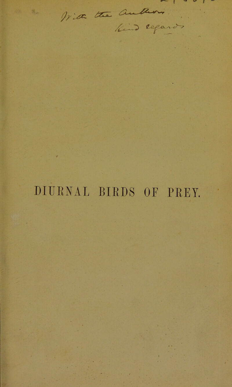 Q/'-JK- 4 c)^7 DIURNAL BIRDS OF PREY.