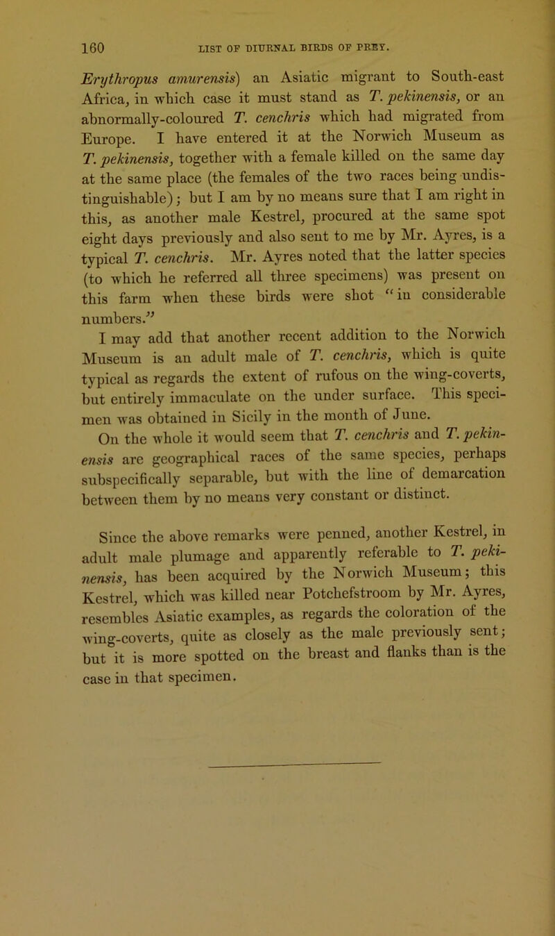 Erythropus amurensis) an Asiatic migrant to South-east Africa, in which case it must stand as T. pekinensis, or an abnormally-coloured T. cenchris which had migrated from Europe. I have entered it at the Norwich Museum as T. pekinensis, together with a female killed on the same day at the same place (the females of the two races being undis- tinguishable); but I am by no means sure that I am right in this, as another male Kestrel, procured at the same spot eight days previously and also sent to me by Mr. Ayres, is a typical T. cenchris. IMr. Ayres noted that the lattci species (to which he referred all three specimens) was present on this farm when these birds were shot in considerable numbers.” I may add that another recent addition to the Norwich Museum is an adult male of T. cenchris, which is quite typical as regards the extent of rufous on the wing-coverts, but entirely immaculate on the under surface. This speci- men was obtained in Sicily in the month of June. On the whole it would seem that T. cenchris and T. pekin- ensis are geographical races of the same species, perhaps subspecifically separable, but with the line ot demarcation between them by no means very constant or distinct. Since the above remarks were penned, another Kestrel, in adult male plumage and apparently referable to T. peki- nensis, has been acquired by the Norwich Museum; this Kestrel, which was killed near Potchefstroom by Mr. Ayres, resembles Asiatic examples, as regards the coloration of the wing-coverts, quite as closely as the male previously sent; but it is more spotted on the breast and flanks than is the case in that specimen.
