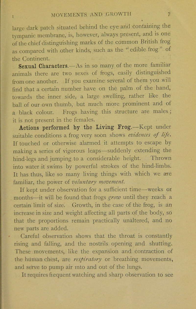 1 large dark patch situated behind the eye and containing the tympanic membrane, is, however, always present, and is one of the chief distinguishing marks of the common British frog as compared with other kinds, such as the ‘‘edible frog” of the Continent. Sexual Characters.—As in so many of the more familiar animals there are two sexes of frogs, easily distinguished from one another. If you examine several of them you will find that a certain number have on the palm of the hand, towards the inner side, a large swelling, rather like the ball of our own thumb, but much more prominent and of a black colour. Frogs having this structure are males ; it is not present in the females. Actions performed by the Living Frog.—Kept under suitable conditions a frog very soon shows evidences of life. If touched or otherwise alarmed it attempts to escape by making a series of vigorous leaps—suddenly extending the hind-legs and jumping to a considerable height. Thrown into water it swims by powerful strokes of the hind-limbs. It has thus, like so many living things with which we arre familiar, the power of voluntary movement. If kept under observation for a sufficient time—weeks or months—it will be found that frogs grow until they reach a certain limit of size. Growth, in the case of the frog, is an increase in size and weight affecting all parts of the body, so that the proportions remain practically unaltered, and no new parts are added. Careful observation shows that the throat is constantly rising and falling, and the nostrils opening and shutting. These movements, like the expansion and contraction of the human chest, are respiratory or breathing movements, and serve to pump air into and out of the lungs. It requires fiequent watching and sharp observation to see