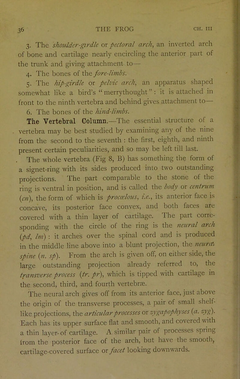 3. The shoulder-girdle or pectoral arch, an inverted arch of bone and cartilage nearly encircling the anterior part of the trunk and giving attachment to— 4. The bones of the fore-limbs. 5. The hip-girdle or pelvic arch, an apparatus shaped somewhat like a bird’s “merrythought”: it is attached in front to the ninth vertebra and behind gives attachment to— 6. The bones of the hind-limbs. The Vertebral Column.—The essential structure of a vertebra may be best studied by examining any of the nine from the second to the seventh : the first, eighth, and ninth present certain peculiarities, and so may be left till last. . The whole vertebra (Fig 8, B) has something the form of a signet-ring with its sides produced into two outstanding projections. The part comparable to the stone of the ring is ventral in position, and is called the body or centrum (cn), the form of which is procoelous, i.e., its anterior face is concave, its posterior face convex, and both faces are covered with a thin layer of cartilage, d he part corre- sponding with the circle of the ring is the neural arch (pd, Im) : it arches over the spinal cord and is produced in the middle line above into a blunt projection, the neura\ spine (n. sp). From the arch is given off, on either side, the large outstanding projection already referred to, the transverse process (tr. pr), which is tipped with cartilage in the second, third, and fourth vertebras. The neural arch gives off from its anterior face, just above the origin of the transverse processes, a pair of small shelf- like projections, the articular processes or zygapophyses (a. zyg). Each has its upper surface flat and smooth, and covered with a thin layer-of cartilage. A similar pair of processes spring (rom the posterior face of the arch, but have the smooth, cartilage-covered surface or facet looking downwrards.