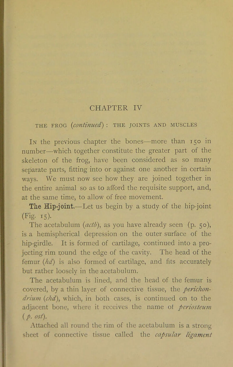 THE FROG (continued,) : THE joints and muscles In the previous chapter the bones—more than 150 in number—which together constitute the greater part of the skeleton of the frog, have been considered as so many separate parts, fitting into or against one another in certain ways. We must now see how they are joined together in the entire animal so as to afford the requisite support, and, at the same time, to allow of free movement. The Hip-joint.—Let us begin by a study of the hip-joint (Fig- 15)* The acetabulum (actb), as you have already seen (p. 50), is a hemispherical depression on the outer surface of the hip-girdle. It is formed of cartilage, continued into a pro- jecting rim round the edge of the cavity. The head of the femur (hd) is also formed of cartilage, and fits accurately but rather loosely in the acetabulum. The acetabulum is lined, and the head of the femur is covered, by a thin layer of connective tissue, the perichon- drium (chd), which, in both cases, is continued on to the adjacent bone, where it receives the name of periosteum (p. ost). Attached all round the rim of the acetabulum is a strong sheet of connective tissue called the capsular ligament