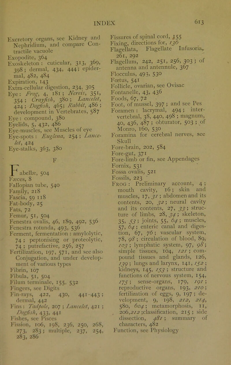 Excretory organs, see Kidney and Nephndium, and compare Con- tractile vacuole Exopodite, 364 Exoskeleton: cuticular, 313, 3°9> 398 ; dermal, 434, 444 5 epider- mal, 482, 4S4 Expiration, 143 Extra-cellular digestion, 234, 305 Eye: Frog, 4, 1S1 ; Nereis, 351, 354; Crayfish, 380; Lancelct, 424; Dogfish, 465; Rabbit, 486; development in Vertebrates, 5S7 Eye: compound, 380 Eyelids, 5, 432, 486 Eye-muscles, see Muscles of eye Eye-spots : Euglena, 254 ; Lance- let, 424 Eye-stalks, 363, 3S0 F 1 abelke, 504 Faeces, 8 Fallopian tube, 540 Family, 218 Fascia, 59 118 Fat-body, 25 Fats, 72 Femur, 51, 504 Fenestra ovalis, 46, 189, 492, 536 Fenestra rotunda, 493, 536 Ferment, fermentation : amylolytic, 74 ; peptonising or proteolytic, 74 ; putrefactive, 256, 257 Fertilization, 197, 571, and see also Conjugation, and under develop- ment of various types Fibrin, 107 Fibula, 51, 504 Filum terminale, 155, 532 Fingers, see Digits Fin-rays, 422, 430, 441-443; dermal, 442 Fins: I'adpole, 207 ; Lancelct, 421 ; Dogfish, 433, 441 Fishes, see Pisces Fission, 106, 198, 236, 250, 268, 273, 283; multiple, 237, 254, 283, 286 Fissures of spinal cord, 155 Fixing, directions for, 136 Flagellata, Flagellate Infusoria, 261, 292 Flagellum, 242, 251, 256, 303; of antenna and antennule, 367 Flocculus, 493, 53° Fcetus, 541 Follicle, ovarian, see Ovisac Fontanelle, 43, 436 Foods, 67, 72 Foot, of mussel, 397 ; and see Pes Foramen : lacrymal, 494; inter- vertebral, 38, 440, 498 ; magnum, 40, 436, 4S7 ; obturator, 503 ; of Monro, 160, 53° Foramina for cerebral nerves, see Skull Fore-brain, 202, 584 Fore-gut, 371 Fore-limb or fin, see Appendages Fornix, 531 Fossa ovalis, 521 Fossils, 223 Frog : Preliminary account, 4; mouth cavity, 16; skin and muscles, 17, 31; abdomen and its contents, 20, 32; neural cavity and its contents, 27, 33 ; struc- ture of limbs, 28, ; skeleton, 35» S3 5 joints, 55. 64 5 muscles, 57, 64; enteric canal and diges- tion, 67, 76; vascular system, 78, 98; circulation of blood, 89, /oj ; lymphatic system, 97, 9c?; simple tissues, 104, I2r; com- pound tissues and glands, 126, 139 ; lungs and larynx, 141,132 ; kidneys, 145, 133 ; structure and functions of nervous system, 154, / 75; sense-organs, 179, 29/; reproductive organs, 193, 2/0; fertilization of eggs, 9, 197 ; de- velopment, 9, 198, 2/2, 214, 580, 604-; metamorphosis, 11, 206,212 classification, 215; side dissection, 4S1; summary of characters, 482 Function, see Physiology