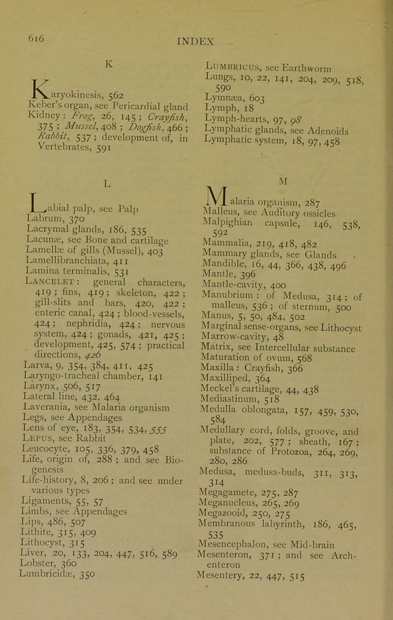 K t^aryokinesis, 562 Keber’s organ, see Pericardial gland Kidney: Frog, 26, 145 ; Crayfish, 375 > Mussel, 408 ; Dogfish, 466 ; Rabbit, 537 ; development of, in Vertebrates, 591 L T „abial palp, see Palp Labrutn, 370 Lacrymal glands, 186, 535 Lacunas, see Bone and cartilage Lamellae of gills (Mussel), 403 Lamellibranchiata, 411 Lamina termtnalis, 531 Lancelet : general characters, 419; fins, 419; skeleton, 422; gill-slits and bars, 420, 422 ; enteric canal, 424 ; blood-vessels, 424; nephridia, 424; nervous system, 424 ; gonads, 421, 425 ; development, 425, 574 ; practical directions, 426 Larva, 9, 354, 384, 411, 425 Laryngo-tracheal chamber, 141 Larynx, 506, 517 Lateral line, 432, 464 Laverania, see Malaria organism Legs, see Appendages Lens of eye, 183, 354, 534,555 Lepus, see Rabbit Leucocyte, 105, 336, 379, 458 Life, origin of, 288 ; and see Bio- genesis Life-history, 8, 206; and see under various types Ligaments, 55, 57 Limbs, see Appendages Lips, 486, 507 Lithite, 315, 409 Lilhocyst, 315 Liver, 20, 133, 204, 447, 516, 589 Lobster, 360 Lumbricidte, 350 Lumkricus, see Earthworm Lungs, 10, 22, 141, 204, 209, 518, Lymnsea, 603 Lymph, 18 Lymph-hearts, 97, gS Lymphatic glands, see Adenoids Lymphatic system, 18, 97, 458 M M alaria organism, 287 Malleus, see Auditory ossicles Malpighian capsule, 146, 538, 592 Mammalia, 219, 418, 482 Mammary glands, see Glands Mandible, 16, 44, 366, 438, 496 Mantle, 396 Mantle-cavity, 400 Manubrium: of Medusa, 314; of malleus, 536 ; of sternum, 500 Manus, 5, 50, 484, 502 Marginal sense-organs, see Lithocyst Marrow-cavity, 4S Matrix, see Intercellular substance Maturation of ovum, 568 Maxilla : Crayfish, 366 Maxilliped, 364 Meckel’s cartilage, 44, 438 Mediastinum, 518 Medulla oblongata, 157, 459, 530, 584 Medullary cord, folds, groove, and plate, 202, 577 ; sheath, 167 ; substance of Protozoa, 264, 260, 280, 286 Medusa, medusa-buds, 311, 313, 3i4 Megagamete, 275, 287 Meganucleus, 265, 269 Megazooid, 250, 275 Membranous labyrinth, 186, 465, 535 Mesencephalon, see Mid-brain Mesenteron, 371 ; and see Arch- enteron Mesentery, 22, 447, 515