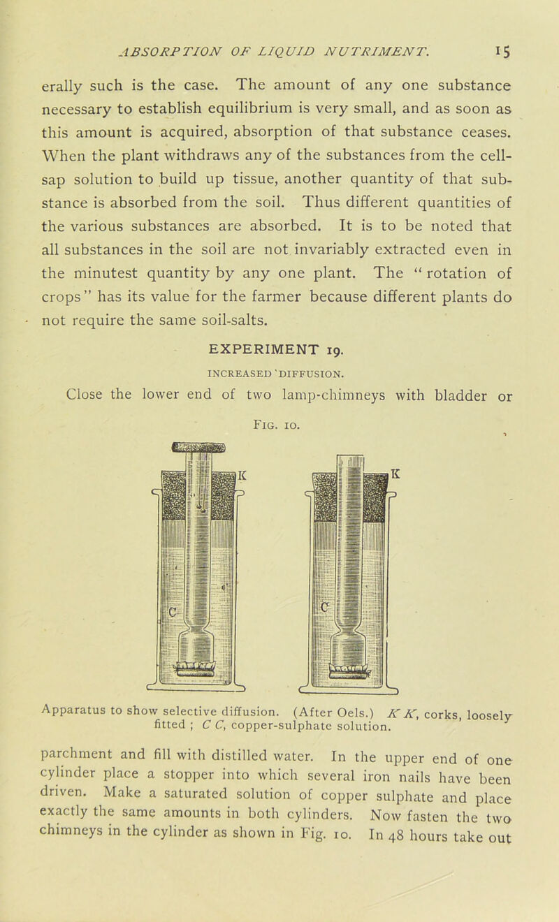 erally such is the case. The amount of any one substance necessary to establish equilibrium is very small, and as soon as this amount is acquired, absorption of that substance ceases. When the plant withdraws any of the substances from the cell- sap solution to build up tissue, another quantity of that sub- stance is absorbed from the soil. Thus different quantities of the various substances are absorbed. It is to be noted that all substances in the soil are not invariably extracted even in the minutest quantity by any one plant. The “ rotation of crops” has its value for the farmer because different plants do not require the same soil-salts. EXPERIMENT 19. INCREASED 'DIFFUSION. Close the lower end of two lamp-chimneys with bladder or Fig. 10. Apparatus to show selective diffusion. (After Oels.) IIK, corks, loosely fitted ; C C, copper-sulphate solution. parchment and fill with distilled water. In the upper end of one cylinder place a stopper into which several iron nails have been driven. Make a saturated solution of copper sulphate and place exactly the same amounts in both cylinders. Now fasten the two