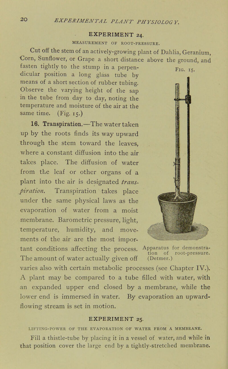 EXPERIMENT 24. MEASUREMENT OF ROOT-PRESSURE. Cut off the stem of an actively-growing plant of Dahlia, Geranium, Corn, Sunflower, or Grape a short distance above the ground, and fasten tightly to the stump in a perpen- dicular position a long glass tube by means of a short section of rubber tubing. Observe the varying height of the sap in the tube from day to day, noting the temperature and moisture of the air at the same time. (Fig. 15.) 16. Transpiration. —The water taken up by the roots finds its way upward through the stem toward the leaves, where a constant diffusion into the air takes place. The diffusion of water from the leaf or other organs of a plant into the air is designated trans- piration. Transpiration takes place under the same physical laws as the evaporation of water from a moist membrane. Barometric pressure, light, temperature, humidity, and move- ments of the air are the most impor- tant conditions affecting the process. Apparatus for demonstra- tion of root-pressure. The amount of water actually given off (Detmer.) varies also with certain metabolic processes (see Chapter IV.). A plant may be compared to a tube filled with water, with an expanded upper end closed by a membrane, while the lower end is immersed in water. By evaporation an upward- flowing stream is set in motion. EXPERIMENT 25. LIFTING-POWER OF THE EVAPORATION OF WATER FROM A MEMBRANE. Fill a thistle-tube by placing it in a vessel of water, and while in that position cover the large end by a tightly-stretched membrane.