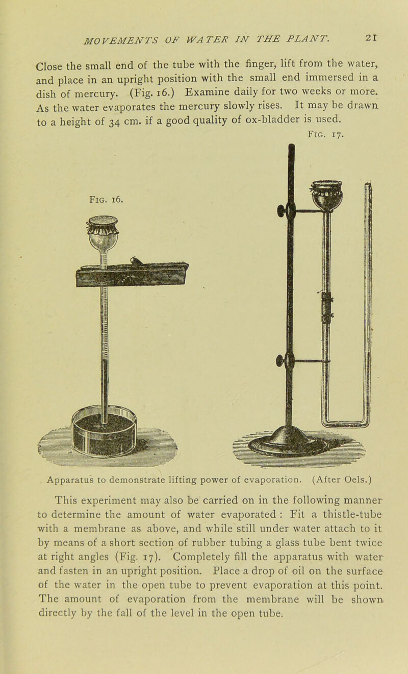 Apparatus to demonstrate lifting power of evaporation. (After Oels.) This experiment may also be carried on in the following manner to determine the amount of water evaporated : Fit a thistle-tube with a membrane as above, and while still under water attach to it by means of a short section of rubber tubing a glass tube bent twice at right angles (Fig. 17). Completely fill the apparatus with water and fasten in an upright position. Place a drop of oil on the surface of the water in the open tube to prevent evaporation at this point. The amount of evaporation from the membrane will be shown directly by the fall of the level in the open tube. Close the small end of the tube with the finger, lift from the water, and place in an upright position with the small end immersed in a dish of mercury. (Fig. 16.) Examine daily for two weeks or more. As the water evaporates the mercury slowly rises. It may be drawn to a height of 34 cm. if a good quality of ox-bladder is used. Fig. 17. Fig. 16.