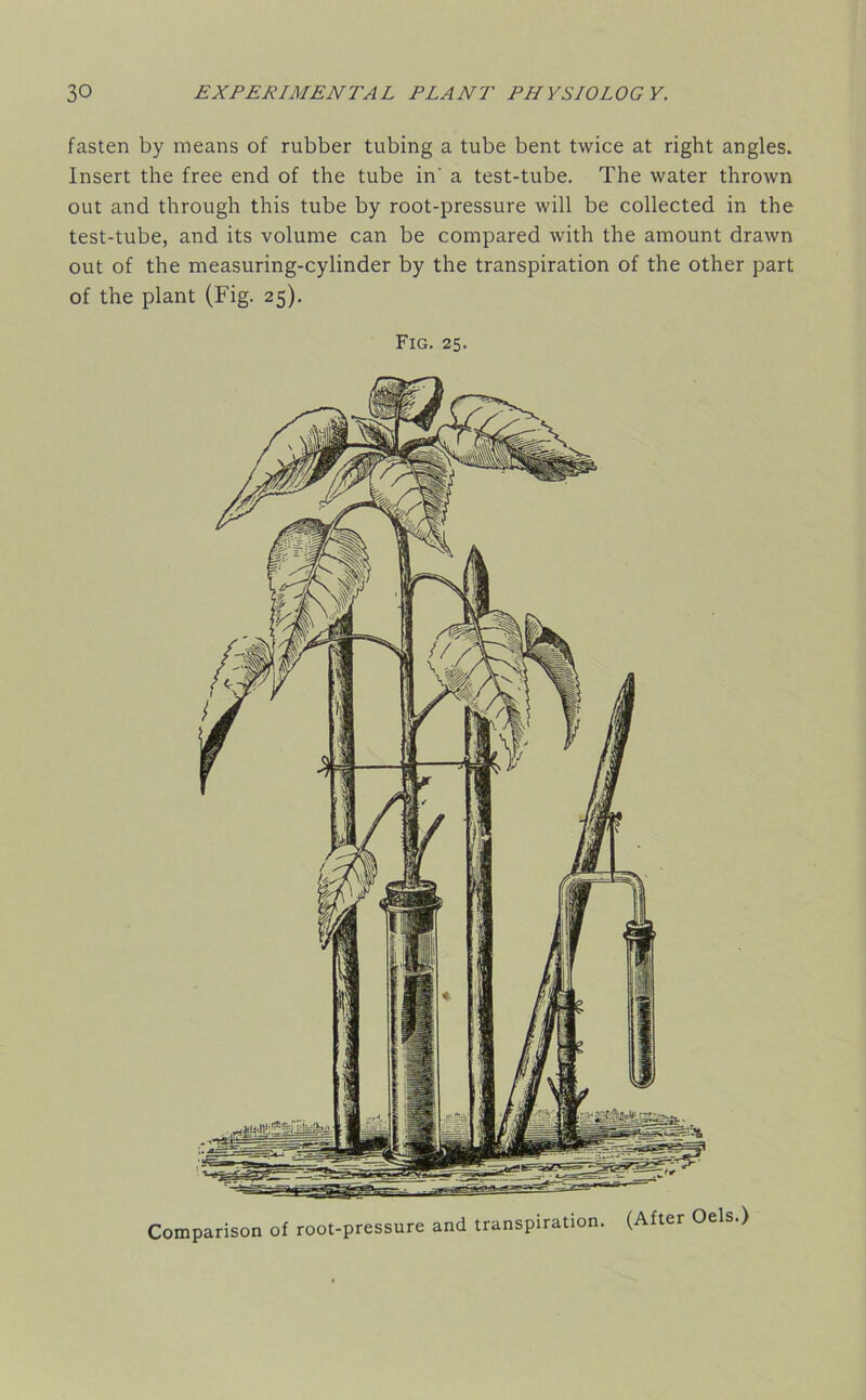 fasten by means of rubber tubing a tube bent twice at right angles. Insert the free end of the tube in' a test-tube. The water thrown out and through this tube by root-pressure will be collected in the test-tube, and its volume can be compared with the amount drawn out of the measuring-cylinder by the transpiration of the other part of the plant (Fig. 25). Fig. 25. Comparison of root-pressure and transpiration. (After Oels.)