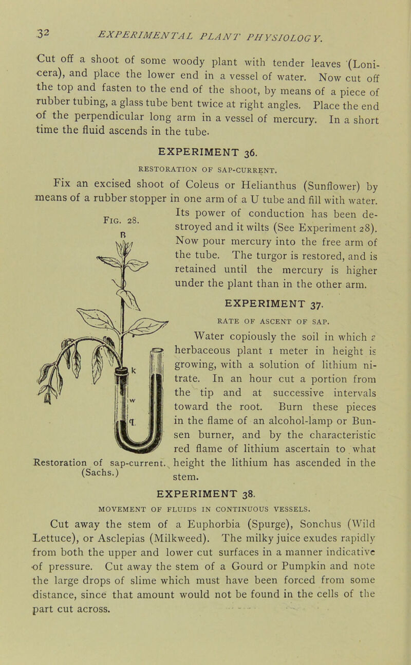 Cut off a shoot of some woody plant with tender leaves (Loni- cera), and place the lower end in a vessel of water. Now cut off the top and fasten to the end of the shoot, by means of a piece of rubber tubing, a glass tube bent twice at right angles. Place the end of the perpendicular long arm in a vessel of mercury. In a short time the fluid ascends in the tube. EXPERIMENT 36. RESTORATION OF SAP-CURRENT. Fix an excised shoot of Coleus or Helianthus (Sunflower) by means of a rubber stopper in one arm of a U tube and fill with water. Its power of conduction has been de- stroyed and it wilts (See Experiment 28). Now pour mercury into the free arm of the tube. The turgor is restored, and is retained until the mercury is higher under the plant than in the other arm. EXPERIMENT 37. RATE OF ASCENT OF SAP. Water copiously the soil in which a herbaceous plant 1 meter in height is growing, with a solution of lithium ni- trate. In an hour cut a portion from the tip and at successive intervals toward the root. Burn these pieces in the flame of an alcohol-lamp or Bun- sen burner, and by the characteristic red flame of lithium ascertain to what Restoration of sap-current, height the lithium has ascended in the (Sachs.) stem. EXPERIMENT 38. MOVEMENT OF FLUIDS IN CONTINUOUS VESSELS. Cut away the stem of a Euphorbia (Spurge), Sonchus (Wild Lettuce), or Asclepias (Milkweed). The milky juice exudes rapidly from both the upper and lower cut surfaces in a manner indicative of pressure. Cut away the stem of a Gourd or Pumpkin and note the large drops of slime which must have been forced from some distance, since that amount would not be found in the cells of the part cut across. Fig. 28.