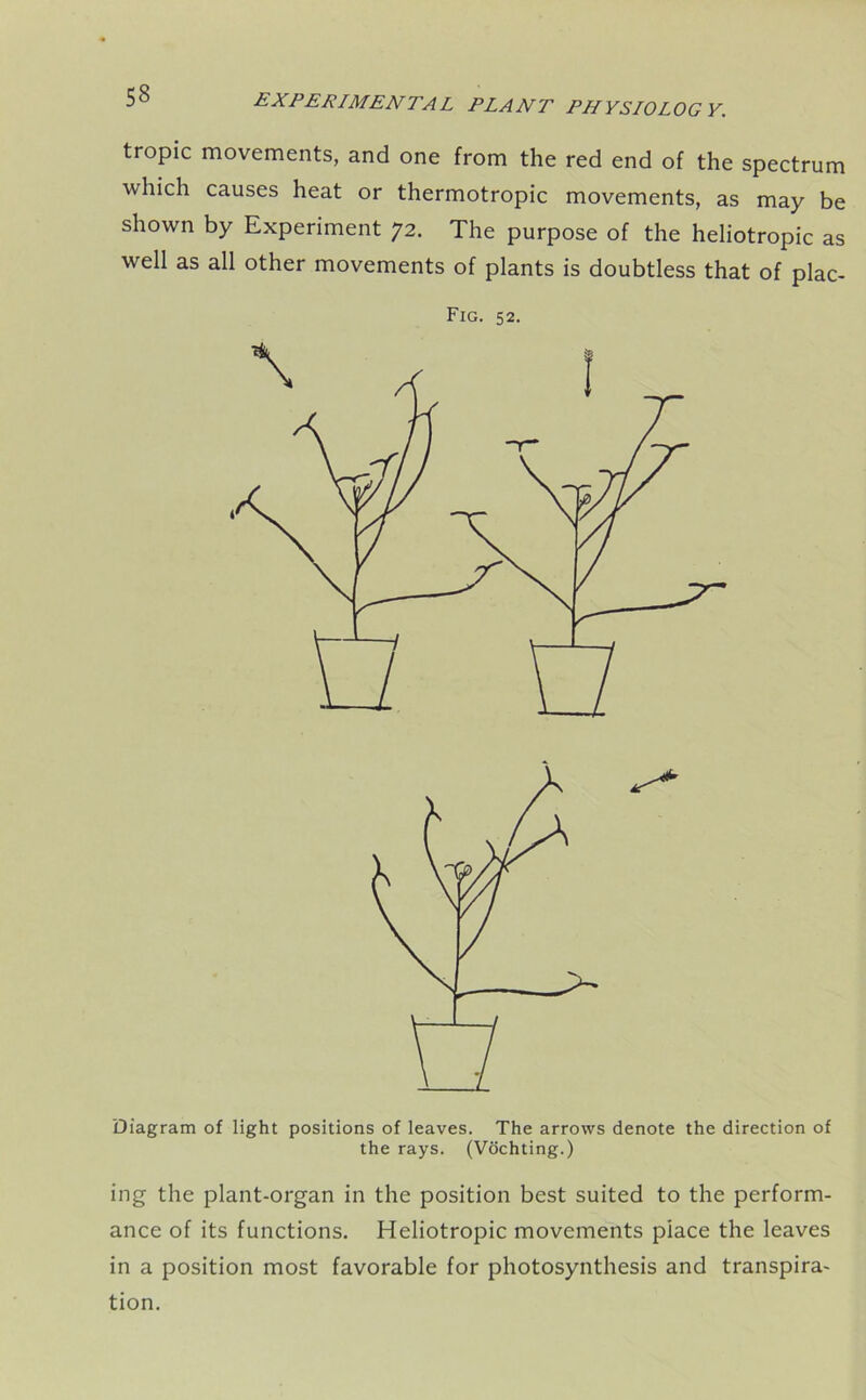 tropic movements, and one from the red end of the spectrum which causes heat or thermotropic movements, as may be shown by Experiment 72. The purpose of the heliotropic as well as all other movements of plants is doubtless that of plac- Fig. 52. Diagram of light positions of leaves. The arrows denote the direction of the rays. (Vochting.) ing the plant-organ in the position best suited to the perform- ance of its functions. Heliotropic movements piace the leaves in a position most favorable for photosynthesis and transpira- tion.