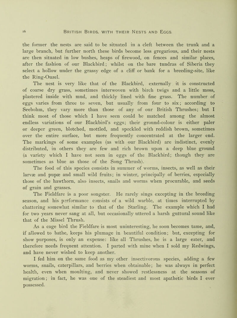 the former the nests are said to be situated in a cleft between the trunk and a large branch, bnt further north these birds become less gregarious, and their nests are then situated in low bushes, heaps of firewood, on fences and similar places, after the fashion of our Blackbird; whilst on the bare tnndras of Siberia they select a hollow under the grass}’ edge of a cliff or bank for a breeding-site, like the Ring-Ouzel. The nest is very like that of the Blackbird, externally it is constructed of coarse dry grass, sometimes interwoven with birch twigs and a little moss, plastered inside with mnd, and thickly lined with fine grass. The nnmber of eggs varies from three to seven, but usually from four to six; according to Seebohm, they vary more than those of any of onr British Thrushes; but I think most of those which I have seen could be matched among the almost endless variations of our Blackbird’s eggs; their ground-colour is either paler or deeper green, blotched, mottled, and speckled with reddish brown, sometimes over the entire surface, but more frequently concentrated at the larger end. The markings of some examples (as with onr Blackbird) are indistinct, evenly distributed, in others they are few and rich brown upon a deep blue ground (a variety which I have not seen in eggs of the Blackbird; though they are sometimes as blue as those of the Song Thrush). The food of this species consists in summer of worms, insects, as well as their larvse and pupss and small wild fruits; in winter, principally of berries, especially those of the hawthorn, also insects, snails and worms when procurable, and seeds of grain and grasses. The Fieldfare is a poor songster. He rarely sings excepting in the breeding season, and his performance consists of a wild warble, at times interrupted by chattering somewhat similar to that of the Starling. The example which I had for two years never sang at all, but occasionally uttered a harsh guttural sound like that of the Missel Thrush. As a cage bird the Fieldfare is most uninteresting, he soon becomes tame, and, if allowed to bathe, keeps his plumage in beautiful condition; but, excepting for show purposes, is only an expense: like all Thru.shes, he is a large eater, and therefore needs frequent attention. I parted with mine when I sold my Redwings, and have never wished to keep another. I fed him on the same food as my other insectivorous species, adding a few worms, snails, caterpillars, and berries when obtainable; he was always in perfect health, even when moulting, and never showed restlessness at the seasons of migration; in fact, he was one of the steadiest and most apathetic birds I ever possessed.