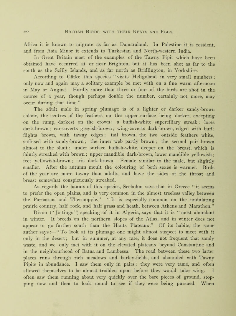 Africa it is known to migrate as far as Damaraland. In Palestine it is resident, and from Asia Minor it extends to Turkestan and North-western India. In Great Britain most of the examples of the Tawny Pipit which have been obtained have occurred at or near Brighton, but it has been shot as far to the south as the Scilly Islands, and as far north as Bridlington, in Yorkshire. According to Gatke this species “ visits Heligoland in ver}^ small numbers; only now and again may a solitary example be met with on a fine warm afternoon in May or August. Hardly more than three or four of the birds are shot in the course of a year, though perhaps double the number, certainly not more, may occur during that time.” The adult male in spring plumage is of a lighter or darker sandy-brown colour, the centres of the feathers on the upper surface being darker, excepting on the rump, darkest on the crown; a huffish-white superciliary streak; lores dark-brown; ear-coverts greyish-brown; wing-coverts dark-brown, edged with buff; flights brown, with tawny edges; tail brown, the two outside feathers white, suffused with sandy-brown; the inner web partly brown; the second pair brown almost to the shaft: under surface huffish-white, deeper on the breast, which is faintly streaked with brown ; upper mandible dark-brown, lower mandible yellowish ; feet yellowish-brown; iris dark-brown. Female similar to the male, but slightly smaller. After the autumn moult the colouring of both sexes is warmer. Birds of the year are more tawny than adults, and have the sides of the throat and breast somewhat conspicuously streaked. As regards the haunts of this species, Seebohm says that in Greece “ it seems to prefer the open plains, and is very common in the almost treeless valley between the Parnassus and Thermopyle.” “ It is especially common on the undulating prairie country, half rock, and half grass and heath, between Athens and Marathon.” Dixon (“Jottings”) speaking of it in Algeria, says that it is “most abundant in winter. It breeds on the northern slopes of the Atlas, and in winter does not appear to go further south than the Hants Plateaux.” Of its habits, the same author says;—“ To look at its plumage one might almost suspect to meet with it only in the desert; but in summer, at any rate, it does not frequent that sandy waste, and we only met with it on the elevated plateaux beyond Constantine and in the neighbourhood of Batna and Lambessa. The road between these two latter places runs through rich meadows and barley-fields, and abounded with Tawny Pipits in abundance. I saw them only in pairs; they were very tame, and often allowed themselves to be almost trodden upon before they would take wing. I often saw them running about very quickly over the bare pieces of ground, stop- ping now and then to look round to see if they were being pursued. When