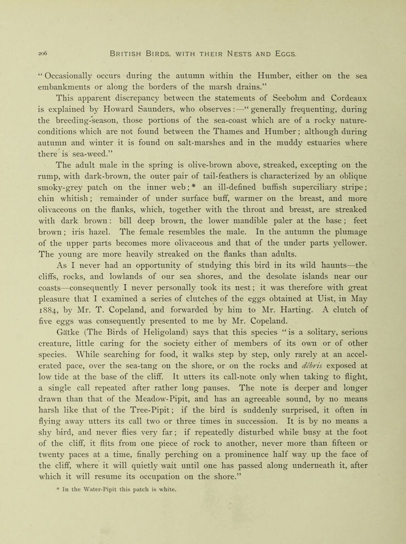 “ Occasionally occurs during the autumn within the Humber, either on the sea embankments or along the borders of the marsh drains.” This apparent discrepancy between the statements of Seebohm and Cordeaux is explained by Howard Saunders, who observes :—“ generally frequenting, during the breeding-season, those portions of the sea-coast which are of a rocky nature- conditions which are not found between the Thames and Humber; although during autumn and winter it is found on salt-marshes and in the muddy estuaries where there is sea-weed.” The adult male in the spring is olive-brown above, streaked, excepting on the rump, with dark-brown, the outer pair of tail-feathers is characterized by an oblique smoky-grey patch on the inner web; * an ill-defined buffish superciliary stripe; chin whitish; remainder of under surface buff, warmer on the breast, and more olivaceous on the flanks, which, together with the throat and breast, are streaked with dark brown: bill deep brown, the lower mandible paler at the base ; feet brown; iris hazel. The female resembles the male. In the autumn the plumage of the upper parts becomes more olivaceous and that of the under parts yellower. The young are more heavily streaked on the flanks than adults. As I never had an opportunity of studying this bird in its wild haunts—the cliffs, rocks, and lowlands of our sea shores, and the desolate islands near our coasts—consequently I never personally took its nest; it was therefore with great pleasure that I examined a series of clutches of the eggs obtained at Uist, in May 1884, by Mr. T. Copeland, and forwarded by him to Mr. Harting. A clutch of five eggs was consequently presented to me by Mr. Copeland. Gatke (The Birds of Heligoland) says that this species “is a solitary, serious creature, little caring for the society either of members of its own or of other species. While searching for food, it walks step by step, only rarely at an accel- erated pace, over the sea-tang on the shore, or on the rocks and debris exposed at low tide at the base of the cliff. It utters its call-note only when taking to flight, a single call repeated after rather long pauses. The note is deeper and longer drawn than that of the Meadow-Pipit, and has an agreeable sound, by no means harsh like that of the Tree-Pipit; if the bird is suddenly surprised, it often in flying away utters its call two or three times in succession. It is by no means a shy bird, and never flies very far; if repeatedl}'- disturbed while busy at the foot of the cliff, it flits from one piece of rock to another, never more than fifteen or twenty paces at a time, finally perching on a prominence half way. up the face of the cliff, where it will quietly wait until one has passed along underneath it, after which it will resume its occupation on the shore.” * In the Water-Pipit this patch is white.