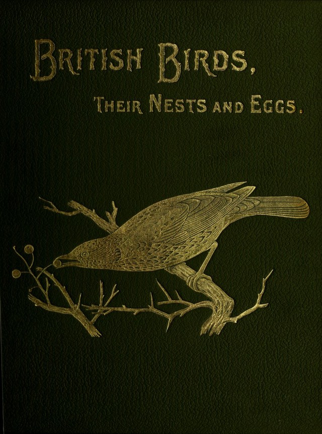 digitised image 1