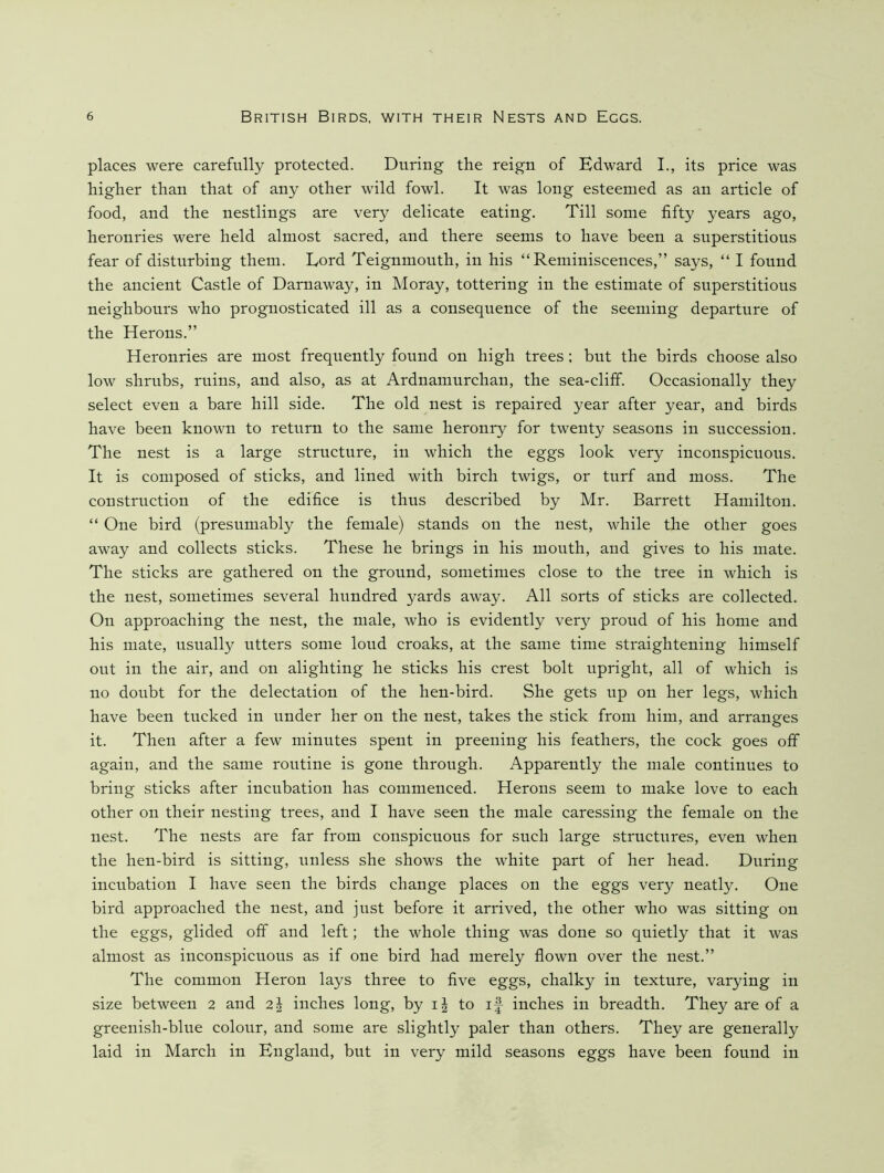 places were carefully protected. During the reign of Edward I., its price was higher than that of any other wild fowl. It was long esteemed as an article of food, and the nestlings are very delicate eating. Till some fifty years ago, heronries were held almost sacred, and there seems to have been a superstitious fear of disturbing them. Lord Teignmouth, in his “Reminiscences,” says, “ I found the ancient Castle of Darnaway, in Moray, tottering in the estimate of superstitious neighbours who prognosticated ill as a consequence of the seeming departure of the Herons.” Heronries are most frequently found on high trees; but the birds choose also low shrubs, ruins, and also, as at Ardnamnrchan, the sea-cliff. Occasionally they select even a bare hill side. The old nest is repaired year after year, and birds have been known to return to the same heronry for twenty seasons in succession. The nest is a large structure, in which the eggs look very inconspicuous. It is composed of sticks, and lined with birch twigs, or turf and moss. The eonstruction of the edifice is thus deseribed by Mr. Barrett Hamilton. “ One bird (presumably the female) stands on the nest, while the other goes away and collects sticks. These he brings in his mouth, and gives to his mate. The sticks are gathered on the gronnd, sometimes close to the tree in which is the nest, sometimes several hundred yards away. All sorts of sticks are collected. On approaching the nest, the male, who is evidently very proud of his home and his mate, usually utters some loud croaks, at the same time straightening himself out in the air, and on alighting he sticks his crest bolt upright, all of which is no doubt for the delectation of the hen-bird. She gets up on her legs, which have been tucked in under her on the nest, takes the stick from him, and arranges it. Then after a few minutes spent in preening his feathers, the cock goes off again, and the same routine is gone through. Apparently the male continues to bring sticks after incubation has commenced. Herons seem to make love to each other on their nesting trees, and I have seen the male caressing the female on the nest. The nests are far from conspicuous for such large structures, even when the hen-bird is sitting, unless she shows the white part of her head. During incubation I have seen the birds change places on the eggs very neatly. One bird approached the nest, and just before it arrived, the other who was sitting on the eggs, glided off and left; the whole thing was done so quietly that it was almost as inconspicuous as if one bird had merely flown over the nest.” The common Heron lays three to five eggs, chalky in texture, varying in size between 2 and 2^ inches long, by to if inehes in breadth. They are of a greenish-blue colour, and some are slightly paler than others. They are generally laid in March in England, but in very mild seasons eggs have been found in