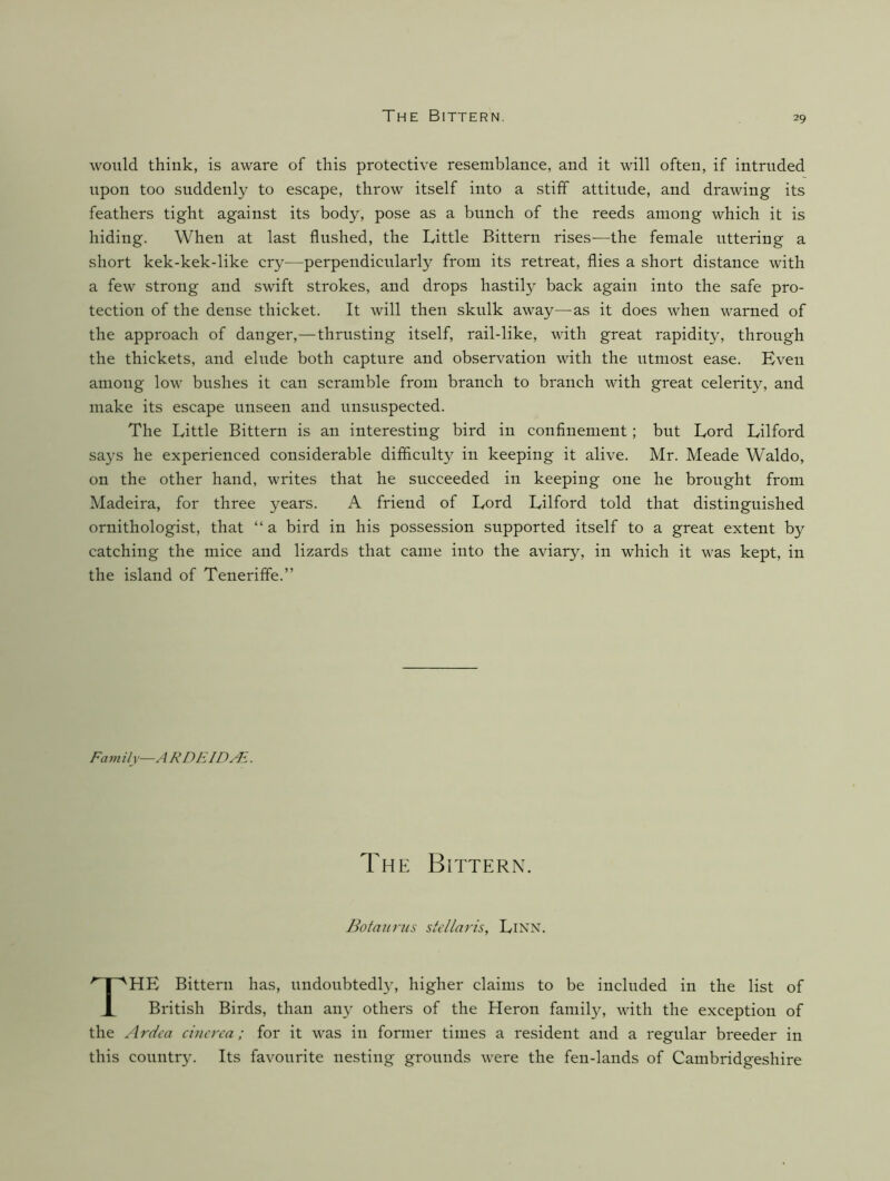 would think, is aware of this protective resemblance, and it will often, if intruded upon too suddenly to escape, throw itself into a stiff attitude, and drawing its feathers tight against its body, pose as a bunch of the reeds among which it is hiding. When at last Unshed, the Little Bittern rises-—the female uttering a short kek-kek-like cry—perpendicularly from its retreat, flies a short distance with a few strong and swift strokes, and drops hastily back again into the safe pro- tection of the dense thicket. It will then skulk away—as it does when warned of the approach of danger,—thrnsting itself, rail-like, with great rapidity, through the thickets, and elnde both capture and observation with the utmost ease. Hven among low bushes it can scramble from branch to branch with great celerity, and make its escape unseen and unsuspected. The Little Bittern is an interesting bird in confinement; but Lord Lilford says he experienced considerable diflicnlty in keeping it alive. Mr. Meade Waldo, on the other hand, writes that he sncceeded in keeping one he brought from Madeira, for three years. A friend of Lord Lilford told that distinguished ornithologist, that “a bird in his possession supported itself to a great extent by catching the mice and lizards that came into the aviary, in which it was kept, in the island of Tenerifle.” Family—A R DEID^E. HE Bittern has, undoubtedly, higher claims to be included in the list of British Birds, than aity others of the Heron family, with the exception of the Ardea cincrca; for it was in former times a resident and a regular breeder in this country. Its favourite nesting grounds were the fen-lands of Cambridgeshire The Bittern. Botaiirus stellaris, LiNN.