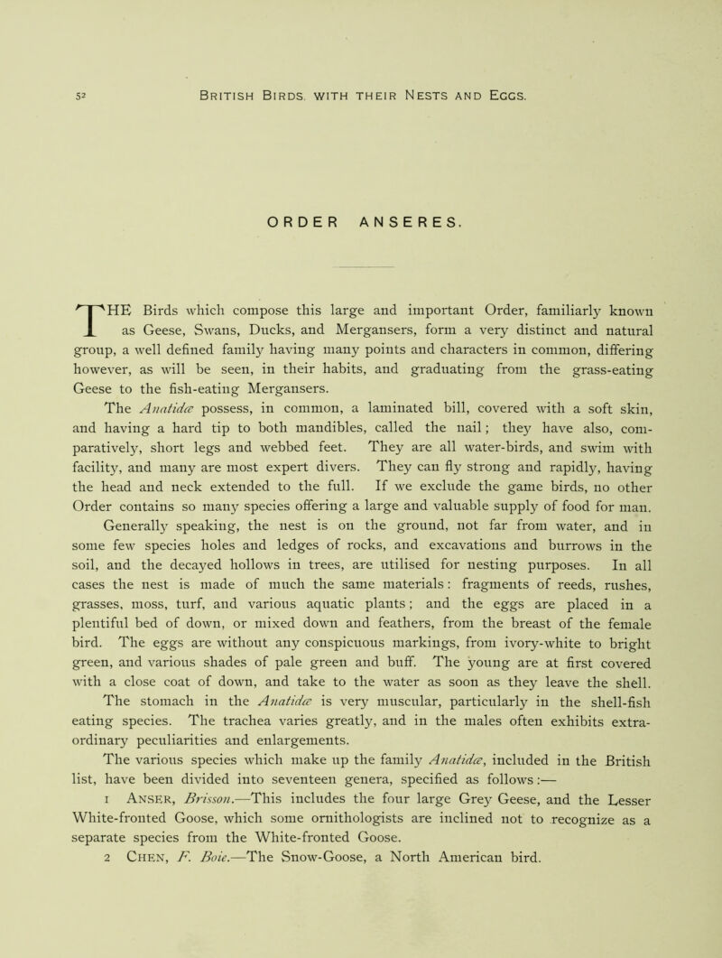 ORDER ANSERES. HE Birds which compose this large and important Order, familiarly known as Geese, Swans, Ducks, and Mergansers, form a very distinct and natural group, a well defined family having many points and characters in common, differing however, as will be seen, in their habits, and graduating from the grass-eating Geese to the fish-eating Mergansers. The Anatidce possess, in common, a laminated bill, covered with a soft skin, and having a hard tip to both mandibles, called the nail; they have also, com- paratively, short legs and webbed feet. They are all water-birds, and swim with facility, and many are most expert divers. They can fly strong and rapidly, having the head and neck extended to the full. If we exclude the game birds, no other Order contains so many species offering a large and valuable supply of food for man. Generally speaking, the nest is on the ground, not far from water, and in some few species holes and ledges of rocks, and excavations and burrows in the soil, and the decayed hollows in trees, are utilised for nesting purposes. In all cases the nest is made of much the same materials: fragments of reeds, rushes, grasses, moss, turf, and various aquatic plants; and the eggs are placed in a plentiful bed of down, or mixed down and feathers, from the breast of the female bird. The eggs are without any conspicuous markings, from ivory-white to bright green, and various shades of pale green and buff. The young are at first covered with a close coat of down, and take to the water as soon as they leave the shell. The stomach in the Anatidci’ is very muscular, particularly in the shell-fish eating species. The trachea varies greatly, and in the males often exhibits extra- ordinary peculiarities and enlargements. The various species which make up the family Anatidce, included in the British list, have been divided into seventeen genera, specified as follows:— 1 ANvSER, Brissoii.—This includes the four large Grey Geese, and the Lesser White-fronted Goose, which some ornithologists are inclined not to recognize as a separate species from the White-fronted Goose. 2 Chen, F. Boie.—The Snow-Goose, a North American bird.