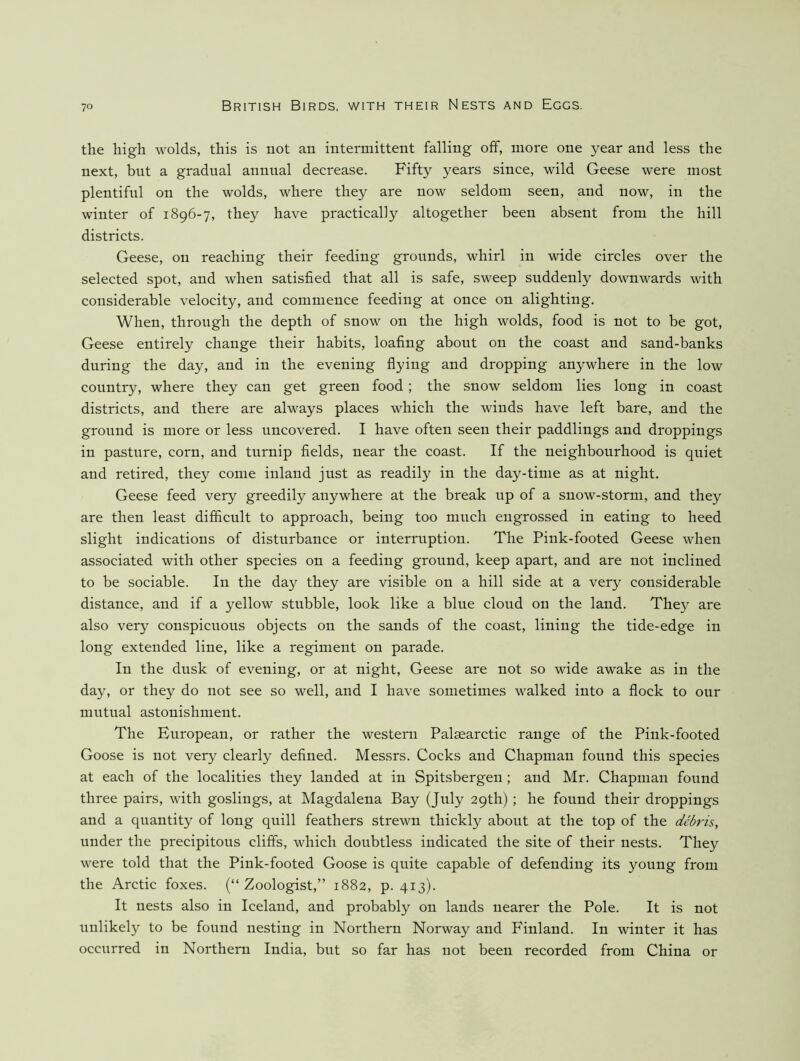 the high wolds, this is not an intermittent falling off, more one year and less the next, but a gradual annual decrease. Fifty years since, wild Geese were most plentiful on the wolds, where they are now seldom seen, and now, in the winter of 1896-7, they have practically altogether been absent from the hill districts. Geese, on reaching their feeding grounds, whirl in wide circles over the selected spot, and when satisfied that all is safe, sweep suddenly downwards with considerable velocity, and commence feeding at once on alighting. When, through the depth of snow on the high wolds, food is not to be got. Geese entirely change their habits, loafing about on the coast and sand-banks during the day, and in the evening flying and dropping anywhere in the low country, where they can get green food ; the snow seldom lies long in coast districts, and there are always places which the winds have left bare, and the ground is more or less uncovered. I have often seen their paddlings and droppings in pasture, corn, and turnip fields, near the coast. If the neighbourhood is quiet and retired, they come inland just as readily in the day-time as at night. Geese feed very greedily anywhere at the break up of a snow-storm, and they are then least difficult to approach, being too much engrossed in eating to heed slight indications of disturbance or interruption. The Pink-footed Geese when associated with other species on a feeding ground, keep apart, and are not inclined to be sociable. In the day they are visible on a hill side at a very considerable distance, and if a yellow stubble, look like a blue cloud on the land. They are also very conspicuous objects on the sands of the coast, lining the tide-edge in long extended line, like a regiment on parade. In the dusk of evening, or at night. Geese are not so wide awake as in the day, or they do not see so well, and I have sometimes walked into a flock to our mutual astonishment. The European, or rather the western Palsearctic range of the Pink-footed Goose is not very clearly defined. Messrs. Cocks and Chapman found this species at each of the localities they landed at in Spitsbergen; and Mr. Chapman found three pairs, with goslings, at Magdalena Bay (July 29th) ; he found their droppings and a quantity of long quill feathers strewn thickly about at the top of the debris, under the precipitous cliffs, which doubtless indicated the site of their nests. They were told that the Pink-footed Goose is quite capable of defending its young from the Arctic foxes. (“ Zoologist,” 1882, p. 413). It nests also in Iceland, and probably on lands nearer the Pole. It is not unlikely to be found nesting in Northern Norway and Finland. In winter it has occurred in Northern India, but so far has not been recorded from China or