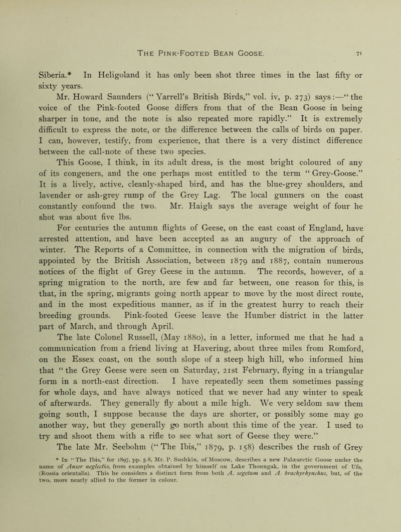 Siberia.* In Heligoland it has only been shot three times in the last fifty or sixty years. Mr. Howard Saunders (“ Yarr ell’s British Birds,” vol. iv, p. 273) says:—“the voice of the Pink-footed Goose differs from that of the Bean Goose in being sharper in tone, and the note is also repeated more rapidly.” It is extremely difficult to express the note, or the difference between the calls of birds on paper. I can, however, testify, from experience, that there is a very distinct difference between the call-note of these two species. This Goose, I think, in its adult dress, is the most bright coloured of any of its congeners, and the one perhaps most entitled to the term “ Grey-Goose.” It is a lively, active, cleanly-shaped bird, and has the blue-grey shoulders, and lavender or ash-grey rump of the Grey Lag. The local gunners on the coast constantly confound the two. Mr. Haigh says the average weight of four he shot was about five lbs. For centuries the autumn flights of Geese, on the east coast of England, have arrested attention, and have been accepted as an augury of the approach of winter. The Reports of a Committee, in connection with the migration of birds, appointed by the British Association, between 1879 1887, contain numerous notices of the flight of Grey Geese in the autumn. The records, however, of a spring migration to the north, are few and far between, one reason for this, is that, in the spring, migrants going north appear to move by the most direct route, and in the most expeditious manner, as if in the greatest hurry to reach their breeding grounds. Pink-footed Geese leave the Humber district in the latter part of March, and through April. The late Colonel Russell, (May 1880), in a letter, informed me that he had a communication from a friend living at Havering, about three miles from Romford, on the Essex coast, on the south slope of a steep high hill, who informed him that “ the Grey Geese were seen on Saturday, 21st February, flying in a triangular form in a north-east direction. I have repeatedly seen them sometimes passing for whole days, and have always noticed that we never had any winter to speak of afterwards. They generally fly about a mile high. We very seldom saw them going south, I suppose because the days are shorter, or possibly some may go another way, but they generally go north about this time of the year. I used to try and shoot them with a rifle to see what sort of Geese they were.” The late Mr. Seebohm (“The Ibis,” 1879, P- describes the rush of Grey * In “The Ibis,” for 1897, pp. 5-8, Mr. P. Sushkiu, ofMoscow, describes a new Palaearctic Goose under the name of Anser neglectus, from examples obtained by himself on Lake Thoungak, in the government of Ufa, (Rossia orieutalis). This he considers a distinct form from both A. segetum and A. brachyrhynchus, but, of the two, more near!}- allied to the former in colour.