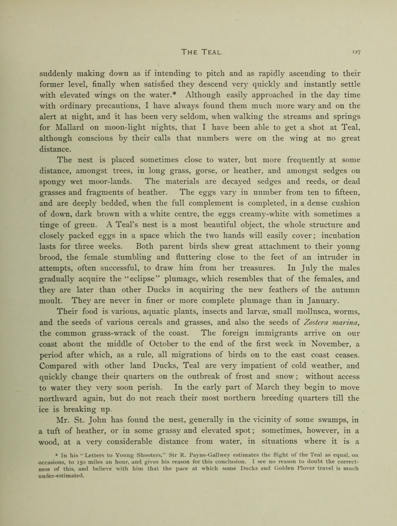 suddenly making down as if intending to pitch and as rapidly ascending to their former level, finally when satisfied they descend very quickly and instantly settle with elevated wings on the water.* Although easily approached in the day time with ordinary precautions, I have always found them much more wary and on the alert at night, and it has been very seldom, when walking the streams and springs for Mallard on moon-light nights, that I have been able to get a shot at Teal, although conscious by their calls that numbers were on the wing at no great distance. The nest is placed sometimes close to water, but more frequently at some distance, amongst trees, in long grass, gorse, or heather, and amongst sedges on spongy wet moor-lands. The materials are decayed sedges and reeds, or dead grasses and fragments of heather. The eggs vary in number from ten to fifteen, and are deeply bedded, when the full complement is completed, in a dense cushion of down, dark brown with a white centre, the eggs creamy-white with sometimes a tinge of green. A Teal’s nest is a most beautiful object, the whole structure and closely packed eggs in a space which the two hands will easily cover; incubation lasts for three weeks. Both parent birds shew great attachment to their young brood, the female stumbling and fluttering close to the feet of an intruder in attempts, often successful, to draw him from her treasures. In July the males gradually acquire the “eclipse” plumage, which resembles that of the females, and they are later than other Ducks in acquiring the new feathers of the autumn moult. They are never in finer or more complete plumage than in January. Their food is various, aquatic plants, insects and larvse, small mollusca, worms, and the seeds of various cereals and grasses, and also the seeds of Zostera 7uarina, the common grass-wrack of the coast. The foreign immigrants arrive on our coast about the middle of October to the end of the first week in November, a period after which, as a rule, all migrations of birds on to the east coast ceases. Compared with other land Ducks, Teal are very impatient of cold weather, and quickly change their quarters on the outbreak of frost and snow; without access to water they very soon perish. In the early part of March they begin to move northward again, but do not reach their most northern breeding quarters till the iee is breaking up. Mr. St. John has found the nest, generally in the vicinity of some swamps, in a tuft of heather, or in some grassy and elevated spot; sometimes, however, in a wood, at a very considerable distance from water, in situations where it is a * In his “ Letters to Young Shooters,” Sir R. Payne-Gallwe)' estimates the flight of the Teal as equal, on occasions, to 150 miles an hour, and gives his reason for this conclusion. I see no reason to doubt the correct- ness of this, and believe with him that the pace at which .some Ducks and Golden Plover travel is much under-estimated.