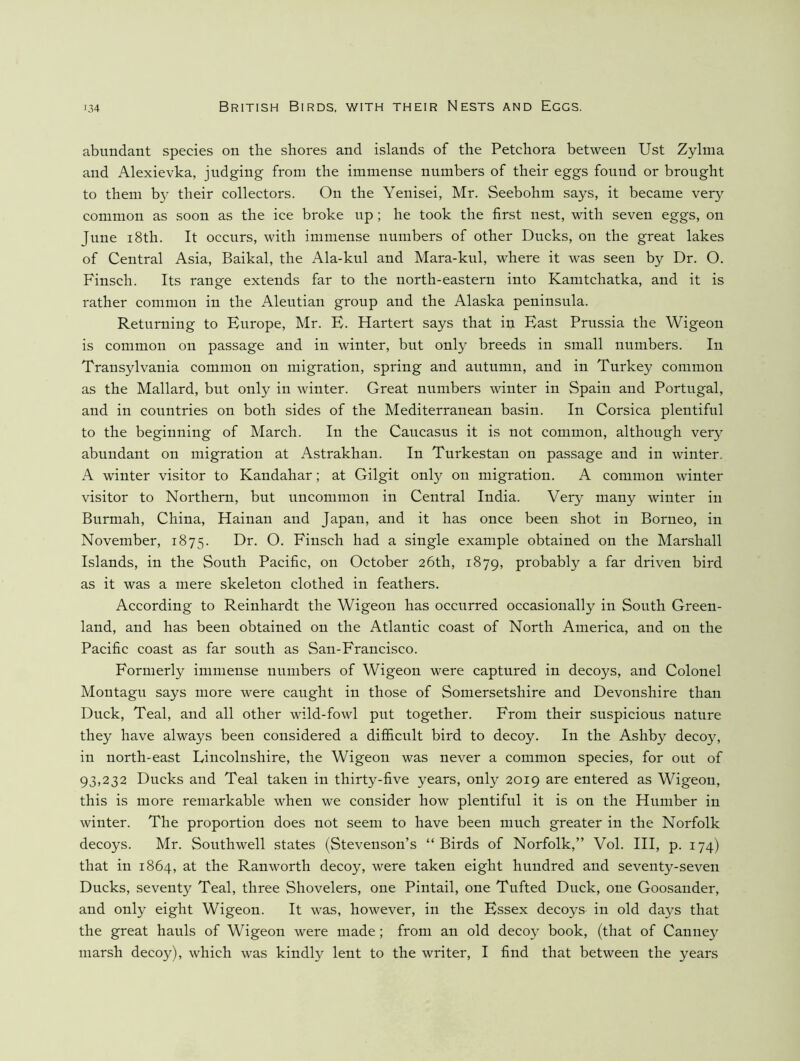 abundant species on the shores and islands of the Petchora between Ust Zylma and Alexievka, judging from the immense numbers of their eggs found or brought to them b}^ their collectors. On the Yenisei, Mr. Seebohm says, it became very common as soon as the ice broke up ; he took the first nest, with seven eggs, on June i8th. It occurs, with immense numbers of other Ducks, on the great lakes of Central Asia, Baikal, the Ala-kul and Mara-kul, where it was seen by Dr. O. Finsch. Its range extends far to the north-eastern into Kamtchatka, and it is rather common in the Aleutian group and the Alaska peninsula. Returning to Europe, Mr. E. Hartert says that in East Prussia the Wigeon is common on passage and in winter, but only breeds in small numbers. In Transylvania common on migration, spring and autnmn, and in Turkey common as the Mallard, but only in winter. Great numbers winter in Spain and Portugal, and in conntries on both sides of the Mediterranean basin. In Corsica plentiful to the beginning of March. In the Caucasus it is not common, although very abnndant on migration at Astrakhan. In Turkestan on passage and in winter. A winter visitor to Kandahar; at Gilgit onlj^ on migration. A common winter visitor to Northern, bnt uncommon in Central India. Very many winter in Burmah, China, Hainan and Japan, and it has once been shot in Borneo, in November, 1875. O- Finsch had a single example obtained on the Marshall Islands, in the Sonth Pacific, on October 26th, 1879, probably a far driven bird as it was a mere skeleton clothed in feathers. According to Reinhardt the Wigeon has occurred occasionally in Sonth Green- land, and has been obtained on the Atlantic coast of North America, and on the Pacific coast as far south as San-Francisco. Formerly immense numbers of Wigeon were captured in decoys, and Colonel Montagu says more were caught in those of Somersetshire and Devonshire than Duck, Teal, and all other wild-fowl put together. From their suspicious nature they have always been considered a difficult bird to decoy. In the Ashby decoy, in north-east Lincolnshire, the Wigeon was never a common species, for out of 93,232 Ducks and Teal taken in thirty-five years, only 2019 are entered as Wigeon, this is more remarkable when we consider how plentiful it is on the Humber in winter. The proportion does not seem to have been much greater in the Norfolk decoys. Mr. Southwell states (Stevenson’s “Birds of Norfolk,” Vol. HI, p. 174) that in 1864, at the Ranworth decoy, were taken eight hundred and seventy-seven Ducks, seventy Teal, three Shovelers, one Pintail, one Tufted Duck, one Goosander, and only eight Wigeon. It was, however, in the Essex decoys in old days that the great hanls of Wigeon were made; from an old decoy book, (that of Canney