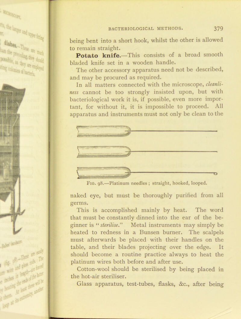 being bent into a short hook, whilst the other is allowed to remain straight. Potato knife.—This consists of a broad smooth bladed knife set in a wooden handle. The other accessory apparatus need not be described, and may be procured as required. In all matters connected with the microscope, cleanli- ness cannot be too strongly insisted upon, but with bacteriological work it is, if possible, even more impor- tant, for without it, it is impossible to proceed. All apparatus and instruments must not only be clean to the O Fig. 98.—Platinum needles ; straight, hooked, looped. naked eye, but must be thoroughly purified from all germs. This is accomplished mainly by heat. The word that must be constantly dinned into the ear of the be- ginner is “ sterilise.” Metal instruments may simply be heated to redness in a Bunsen burner. The scalpels must afterwards be placed with their handles on the table, and their blades projecting over the edge. It should become a routine practice always to heat the platinum wires both before and after use. Cotton-wool should be sterilised by being placed in the hot-air steriliser. Glass apparatus, test-tubes, flasks, &c., after being