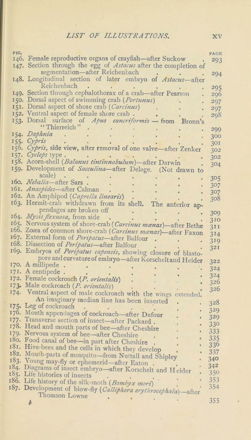 FIG. 146. Female reproductive organs of crayfish—after Suckow 147. Section through the egg of Astacus after the completion of segmentation—after Reichenbach 148. Longitudinal section of later embryo of Astacus—after Reichenbach ...... 149. Section through cephalothorax of a crab—after Pearson 150. Dorsal aspect of swimming crab (Portunus) 151. Dorsal aspect of shore crab (Carcinus) 152. Ventral aspect of female shore crab .... 153. Dorsal surface of A pus cancriformis — from Bronn’s “ Thierreich ” .... • • • 154. Daphnia ....... 155* Cypris ....... 156. Cypris, side view, after removal of one valve—after Zenker 157. Cyclops type ....... 158. Acorn-shell {Balarms tintinnabulum)—after Darw in 159. Development of Sacculina—after Delage. (Not drawn to scale) ....... 160. Nebalia—after Sars ..... 161. Anaspides—after Caiman .... 162. An Amphipod (Caprella linearis) 163. Hermit-crab withdrawn from its shell. The anterior ap! pendages are broken off 164. My sis Jlexuosa, from side .... 165. Nervous system of shore-crab (Carcinus mcenas)—after Bethe 166. Zosea of common shore-crab (Carcinus mcenas)—after Faxon 167. External form of Peripatus—after Balfour . 168. Dissection of Peripatus—after Balfour 169. Embryos of Peripatus capensis, showing closure of blasto- pore and curvature of embryo—after Korscheltand Heider 170. A millipede ..... 171- A centipede ..... 172. Female cockroach (P. orientalis) 173. Male cockroach (P. orientalis) 174. Ventral aspect of male cockroach with the wings extended! An imaginary median line has been inserted . 175. Leg of cockroach . 176. Mouth appendages of cockroach—after Dufour 177. Transverse section of insect—after Packard . 178. Head and mouth parts of bee—after Cheshire 179- Nervous system of bee—after Cheshire . ! 180. Food canal of bee—in part after Cheshire 181. Hive-bees and the cells in which they develop 182. Mouth-parts of mosquito—from Nuttall and Shipley q3‘ ^oung may-fly or ephemerid—after Eaton . 184. Diagrams of insect embryo—after ICorschelt and Heider 105. Lite histories of insects ^ife history of the silk-moth (Bombyx mort) 187. Development of blow-fly (Calliphora erythrocephald) —after' lhomson Lowne b ' PAGE 293 294 295 296 297 2 97 298 299 300 301 302 302 304 305 307 307 308 309 310 3i 1 3i4 3i9 321 322 324 324 326 326 328 329 329 330 333 335 336 337 340 342 350 353 354 355